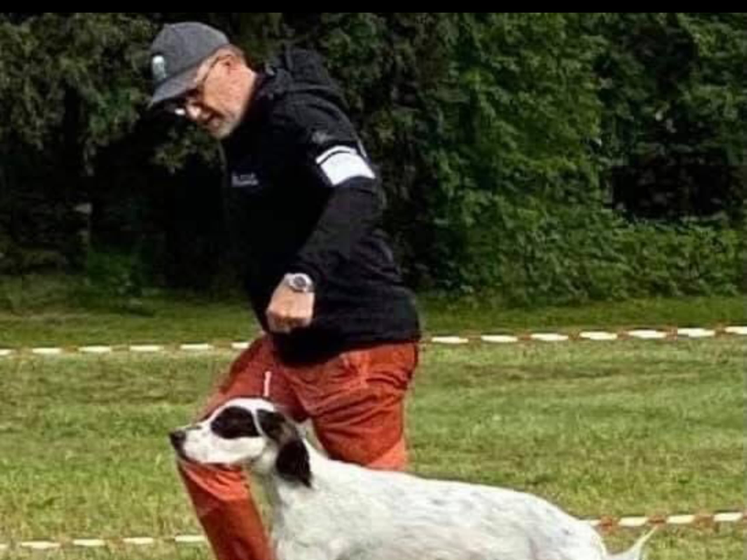 Engelsk setter · Førde · Joachim M.