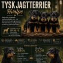 Tysk jaktterrier