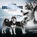 Alaskan malamute