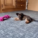 TO