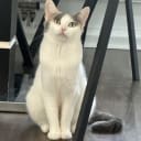 OF