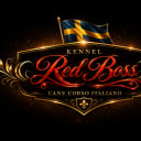 RB