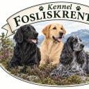 KF