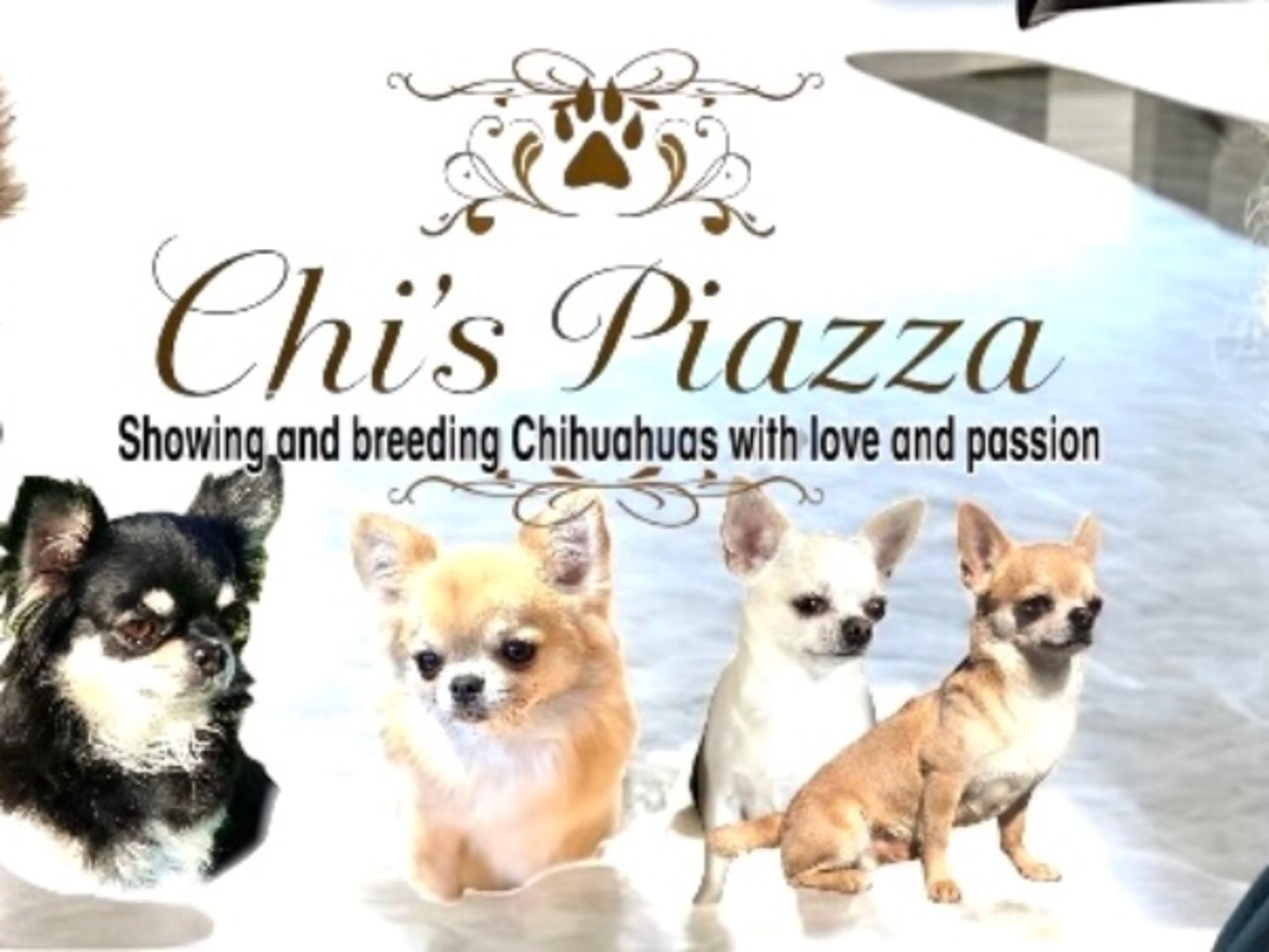 Chi's Piazza