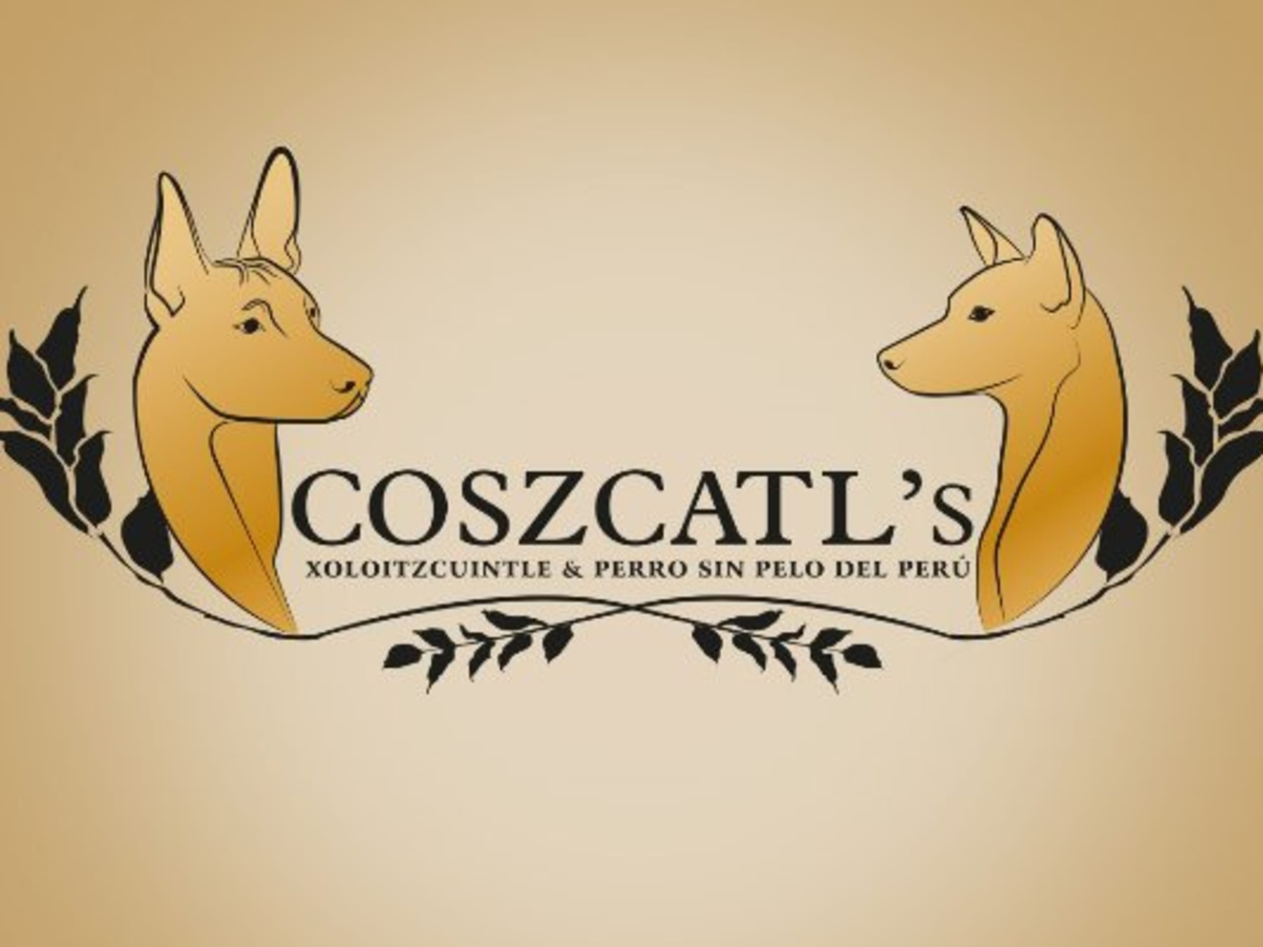 Coszcatl's