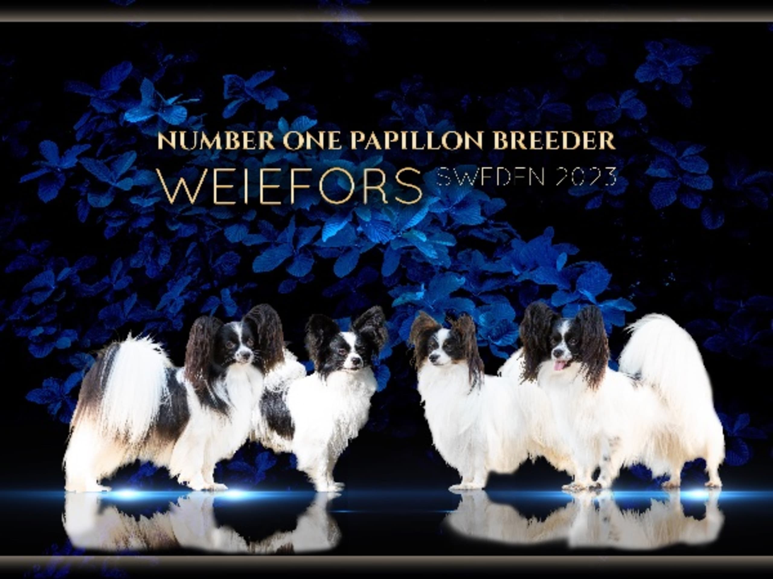 Weiefors