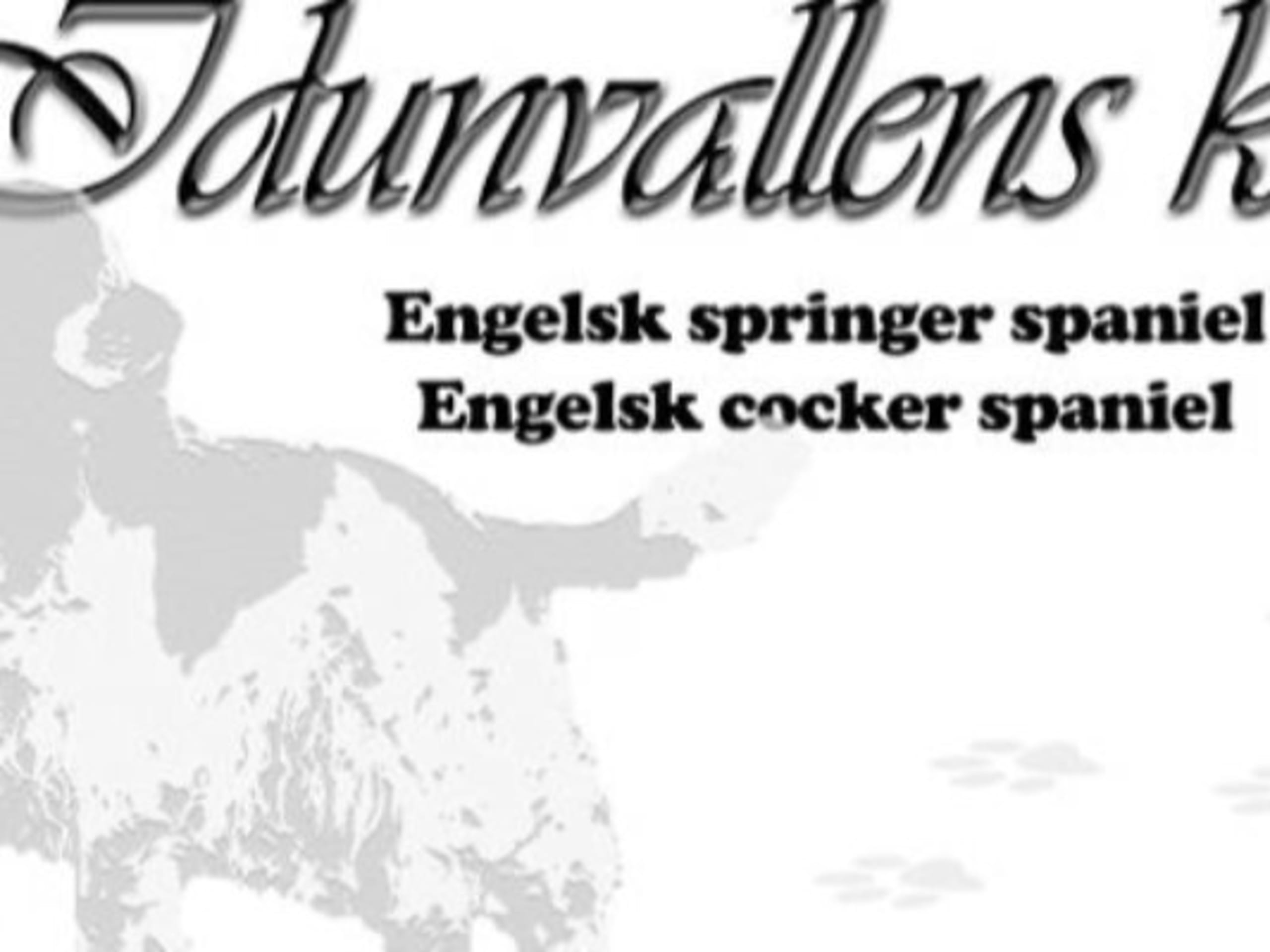Idunvallens