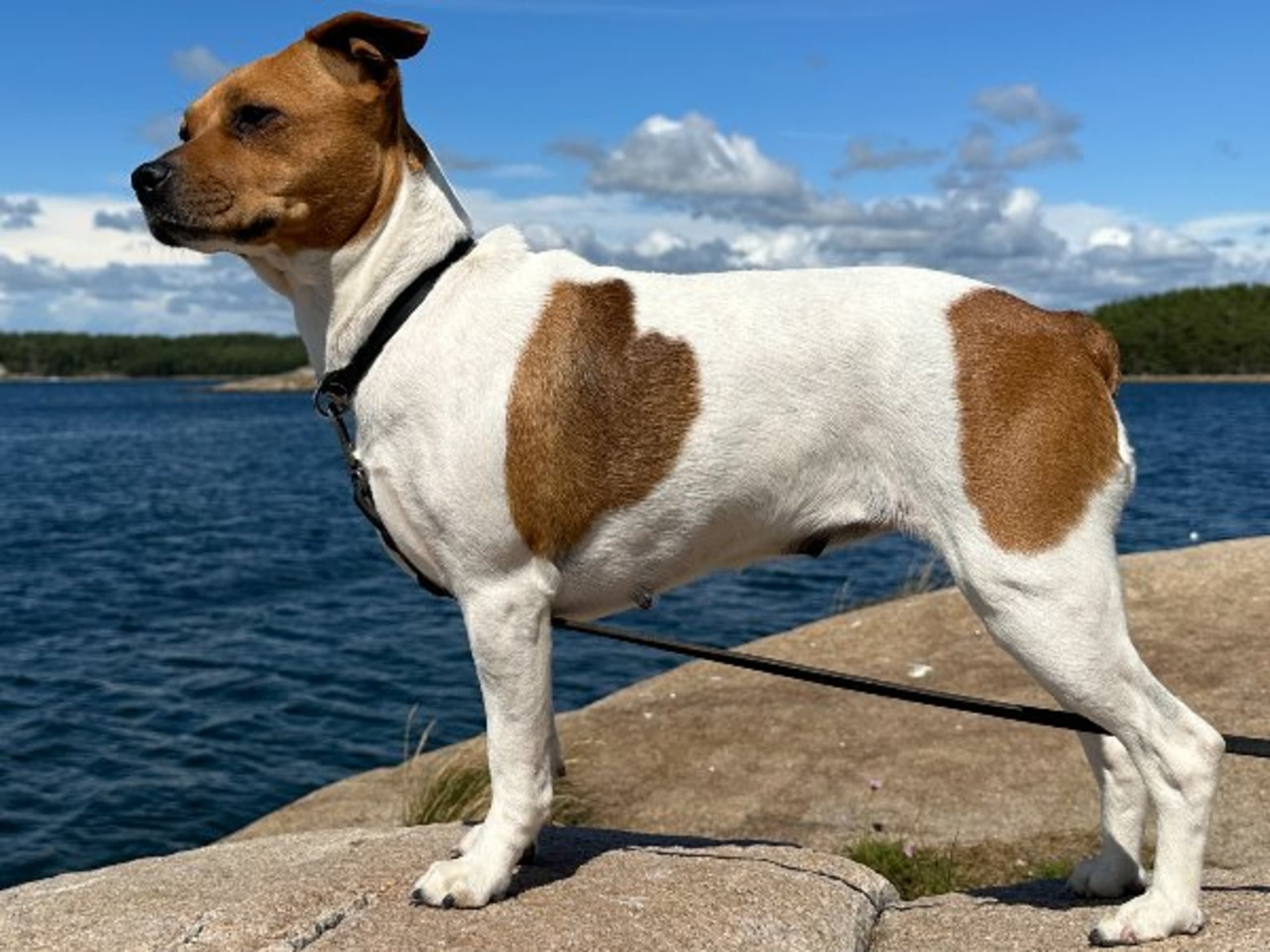 Kitenga