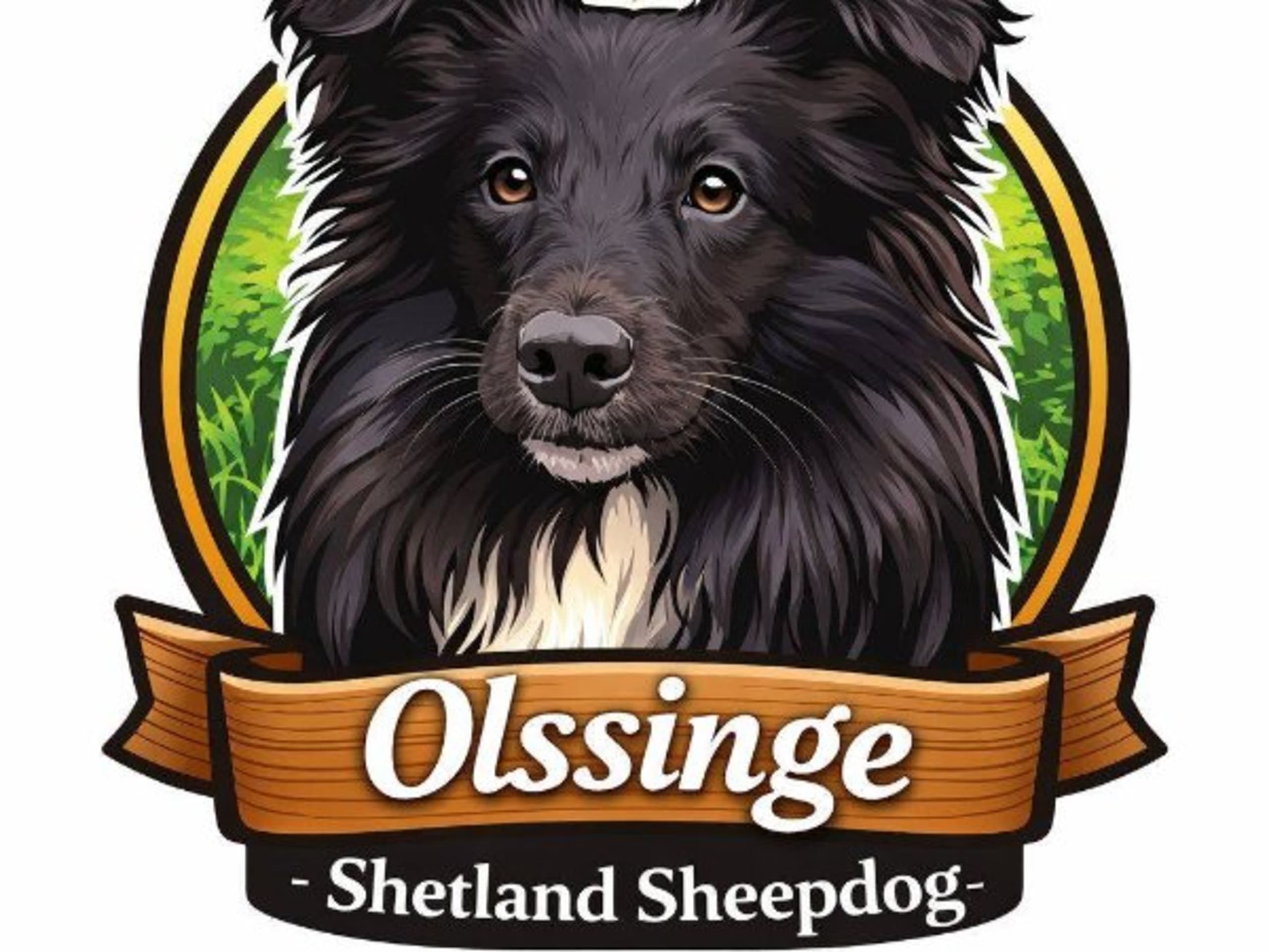 Olssinge