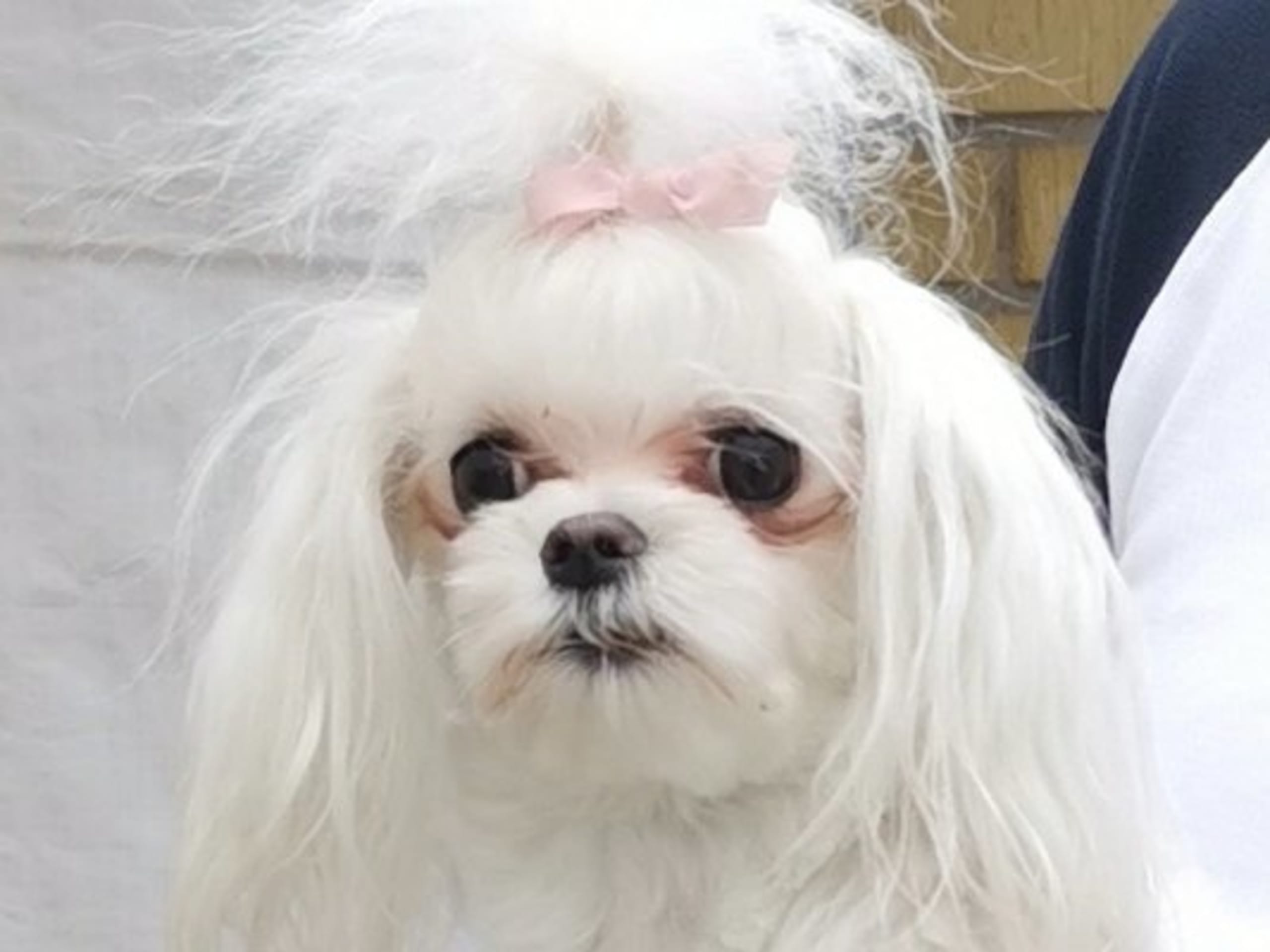 Ginny Angel