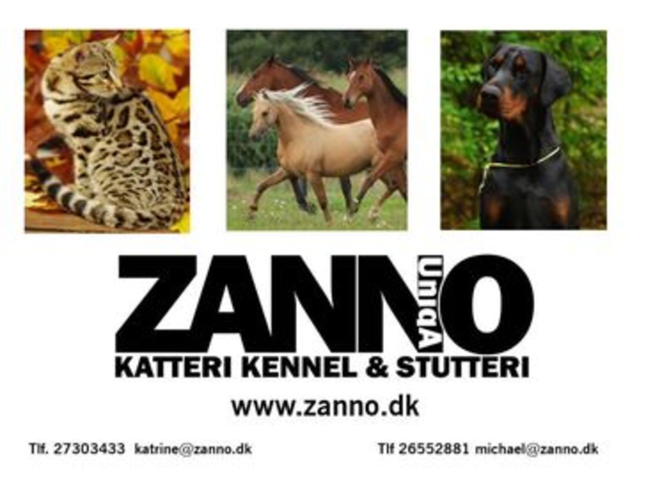 Zanno Uniqa