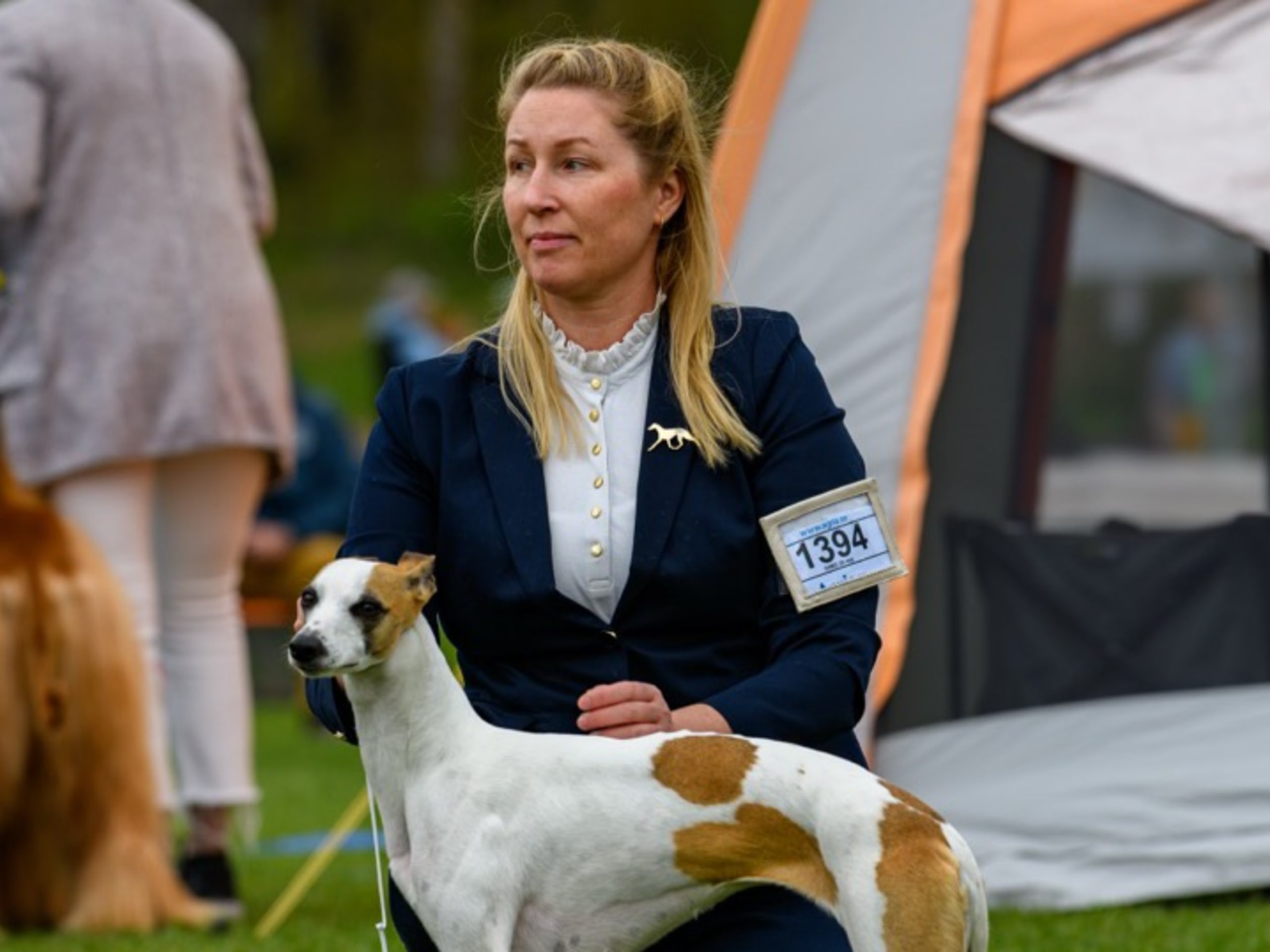 Alternova Whippet