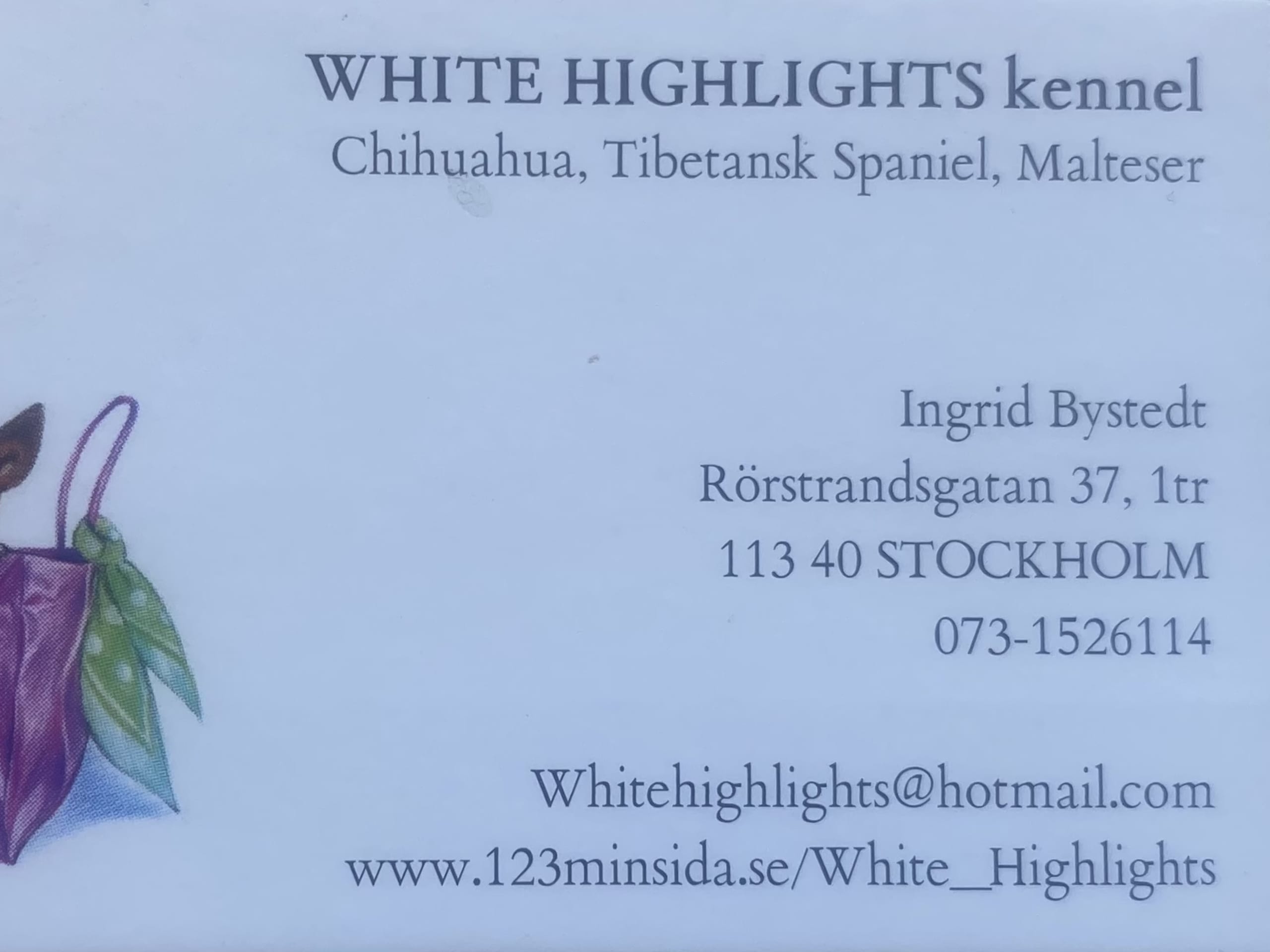 White Highlights
