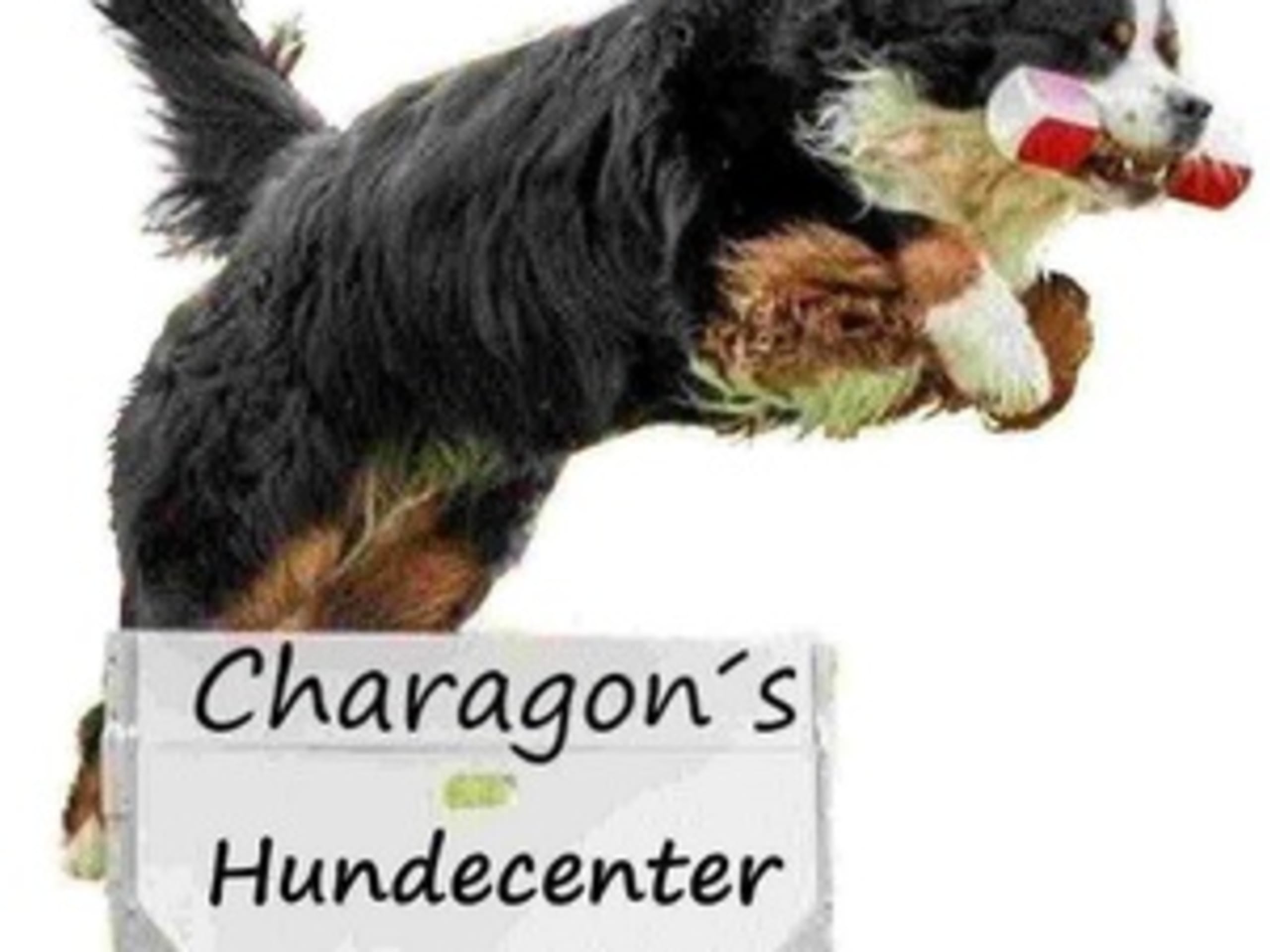 Charagon's