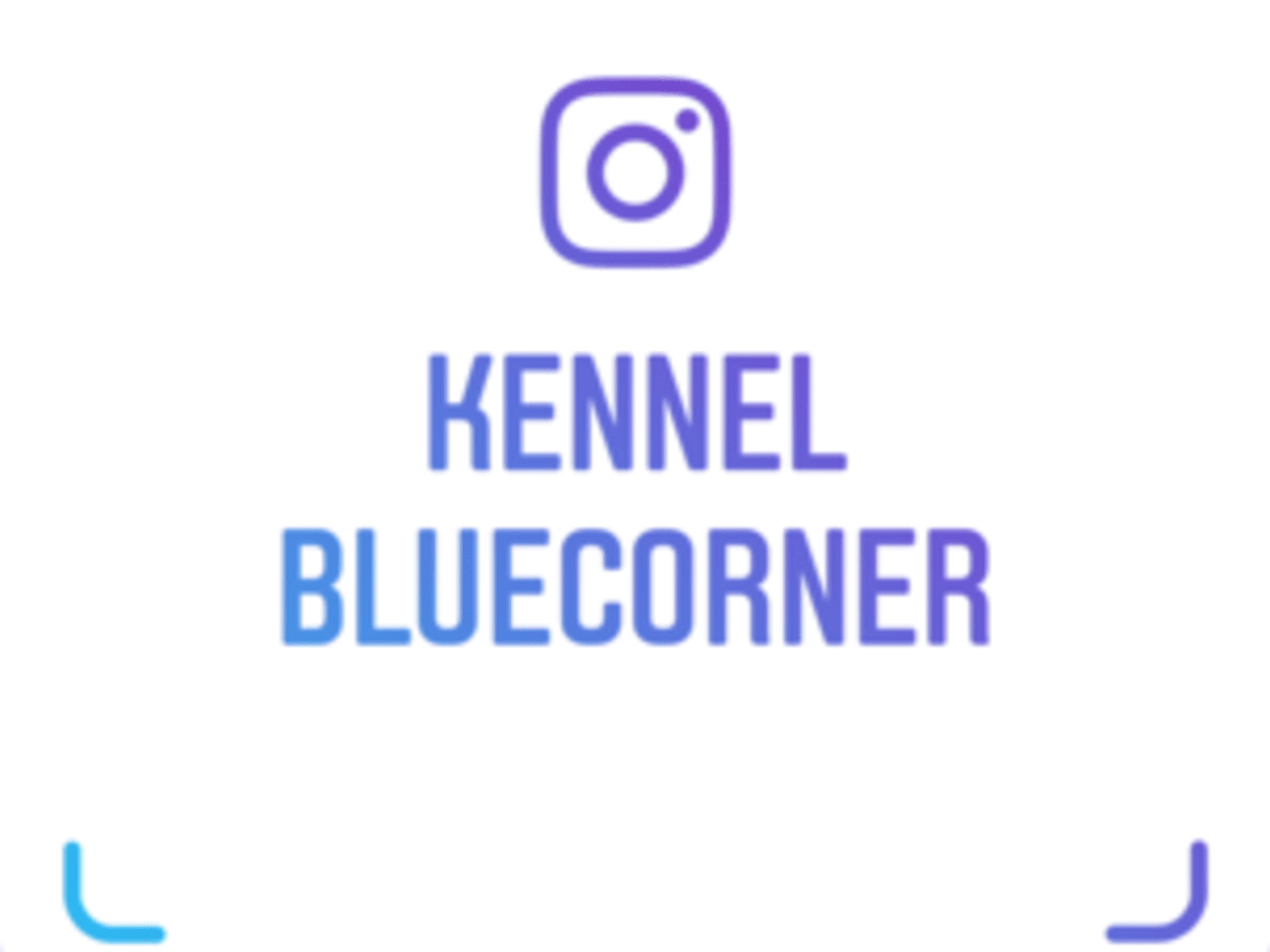BlueCorner´s