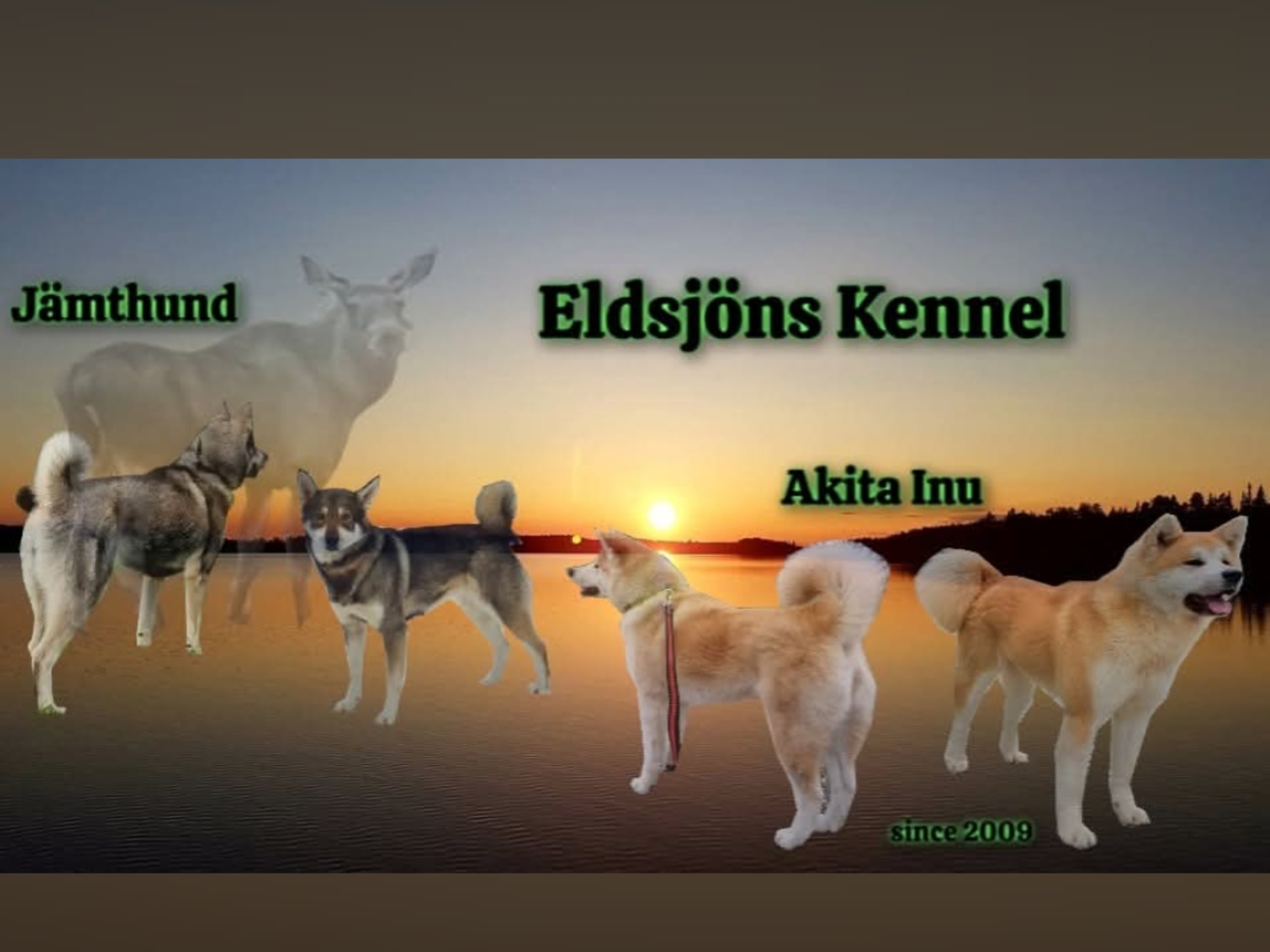 Eldsjöns Kennel