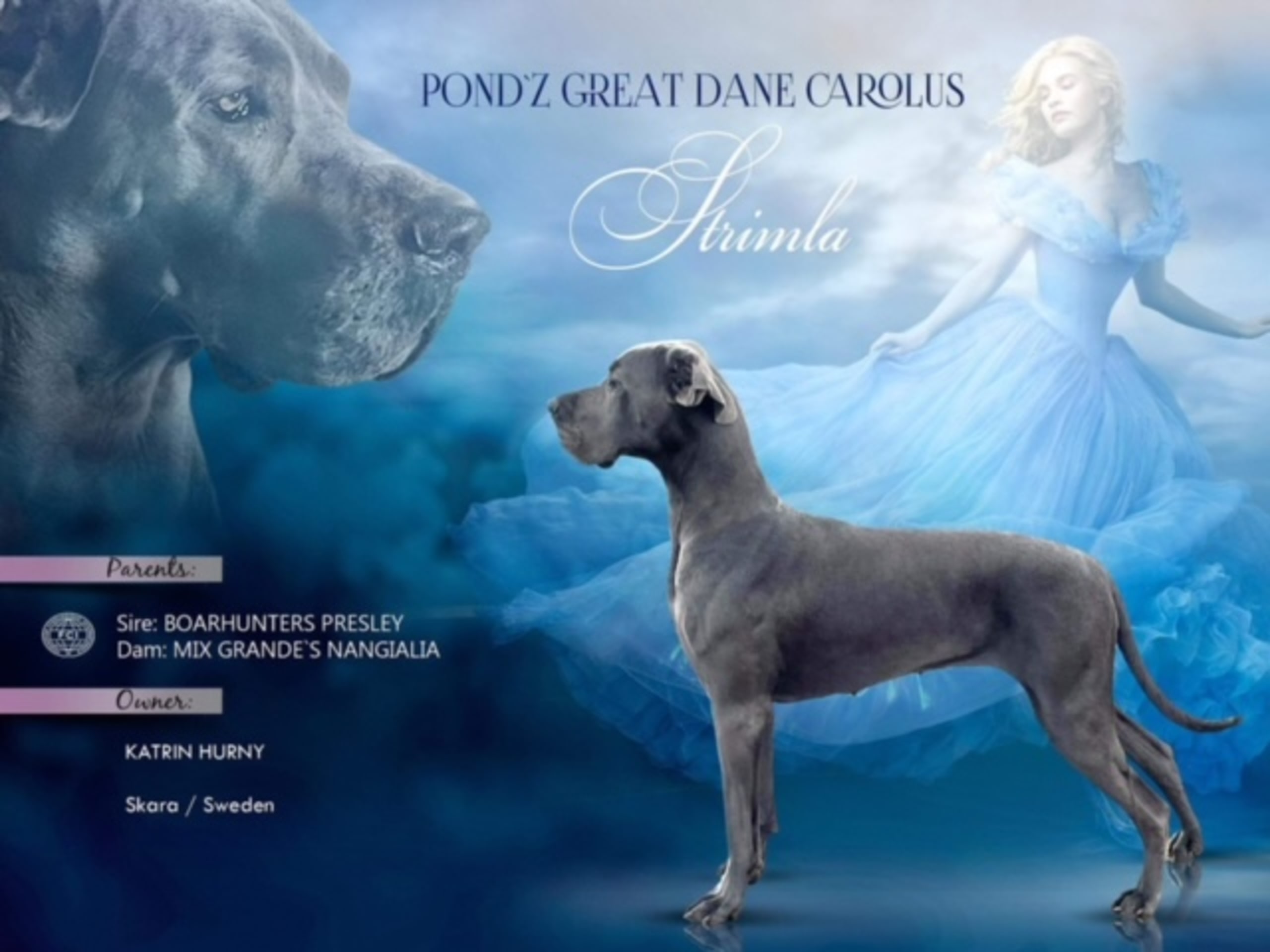 Pond'z G. Dane