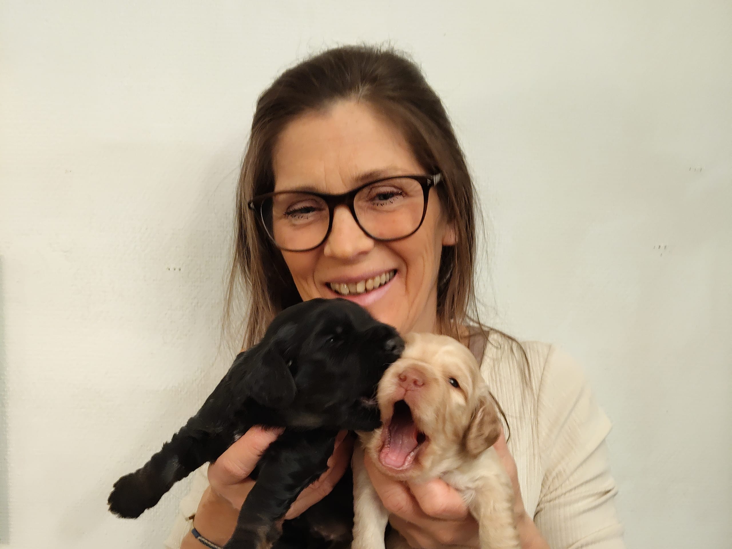 Babsan hund och kattklipp , babsans cockerpoo