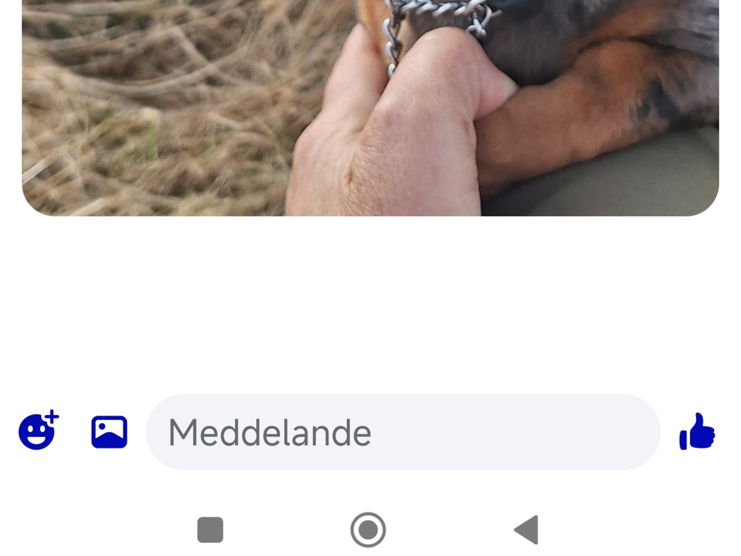 Klippornas Mi Amore