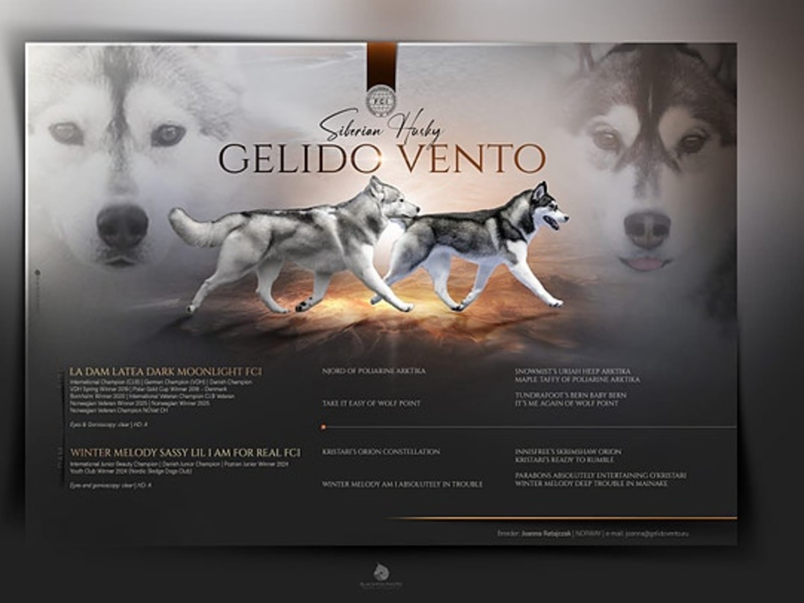 Siberian husky · Sørskogbygda · Joanna Krystyna Ratajczak
