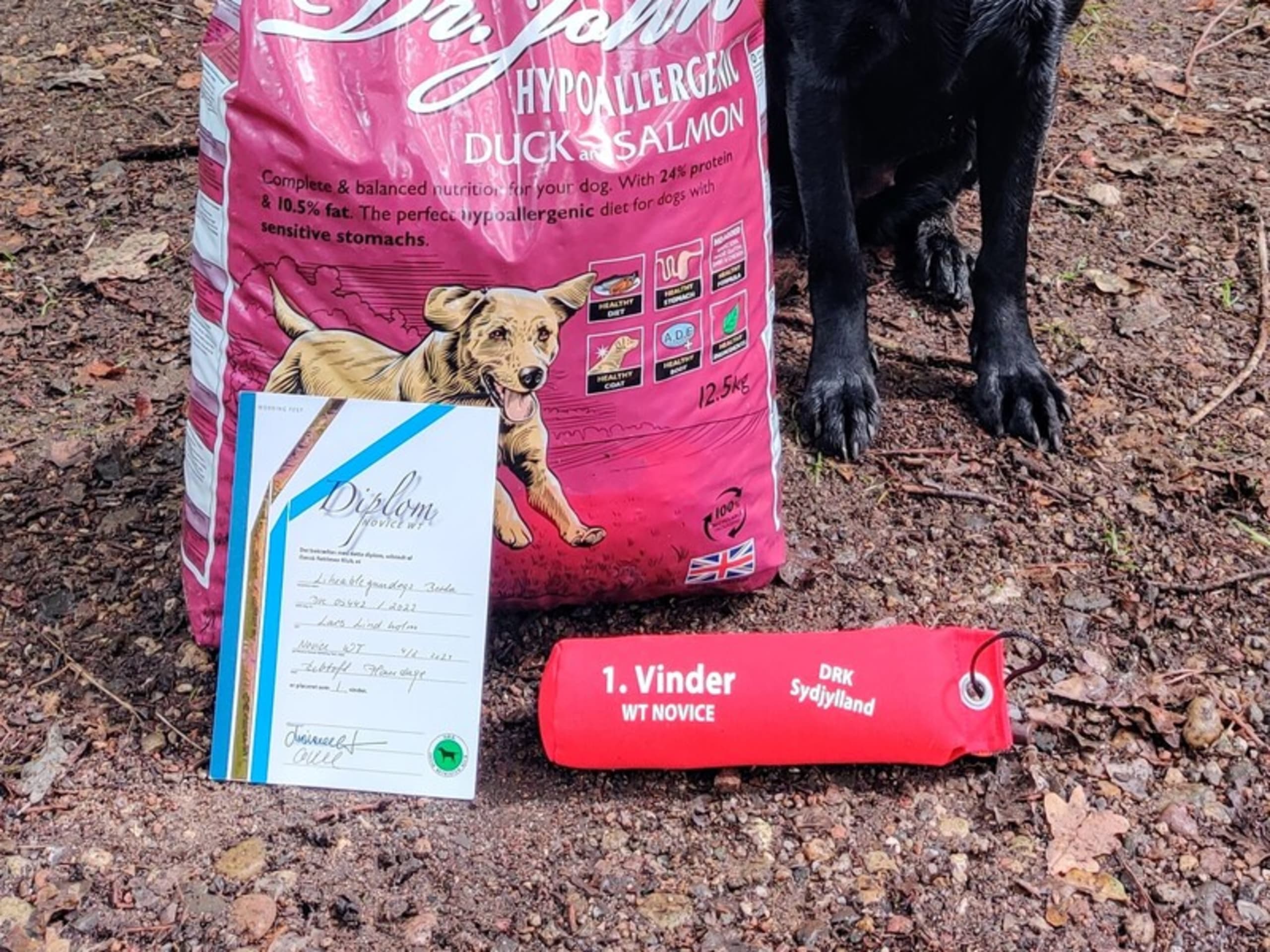 Labrador retriever · Christiansfeld · Lindholm Gundogs