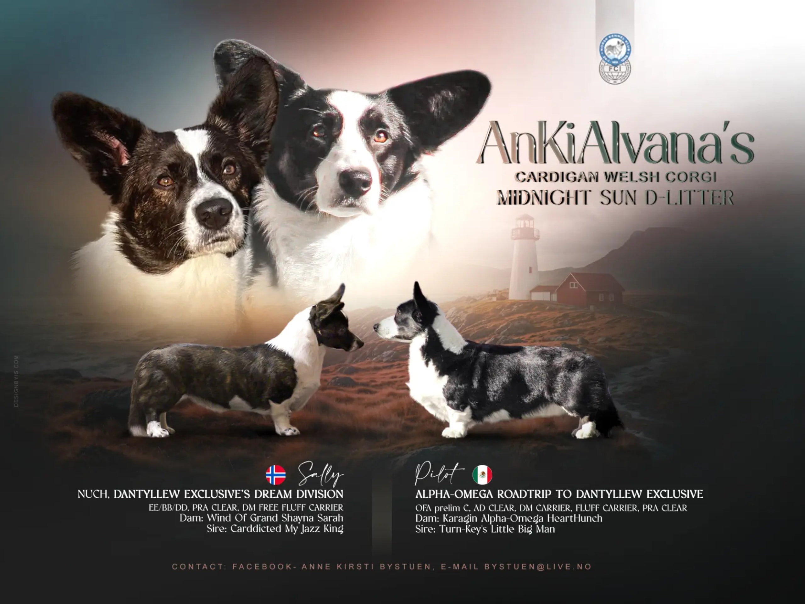 Welsh corgi cardigan · Melbu · AnKiAlvana