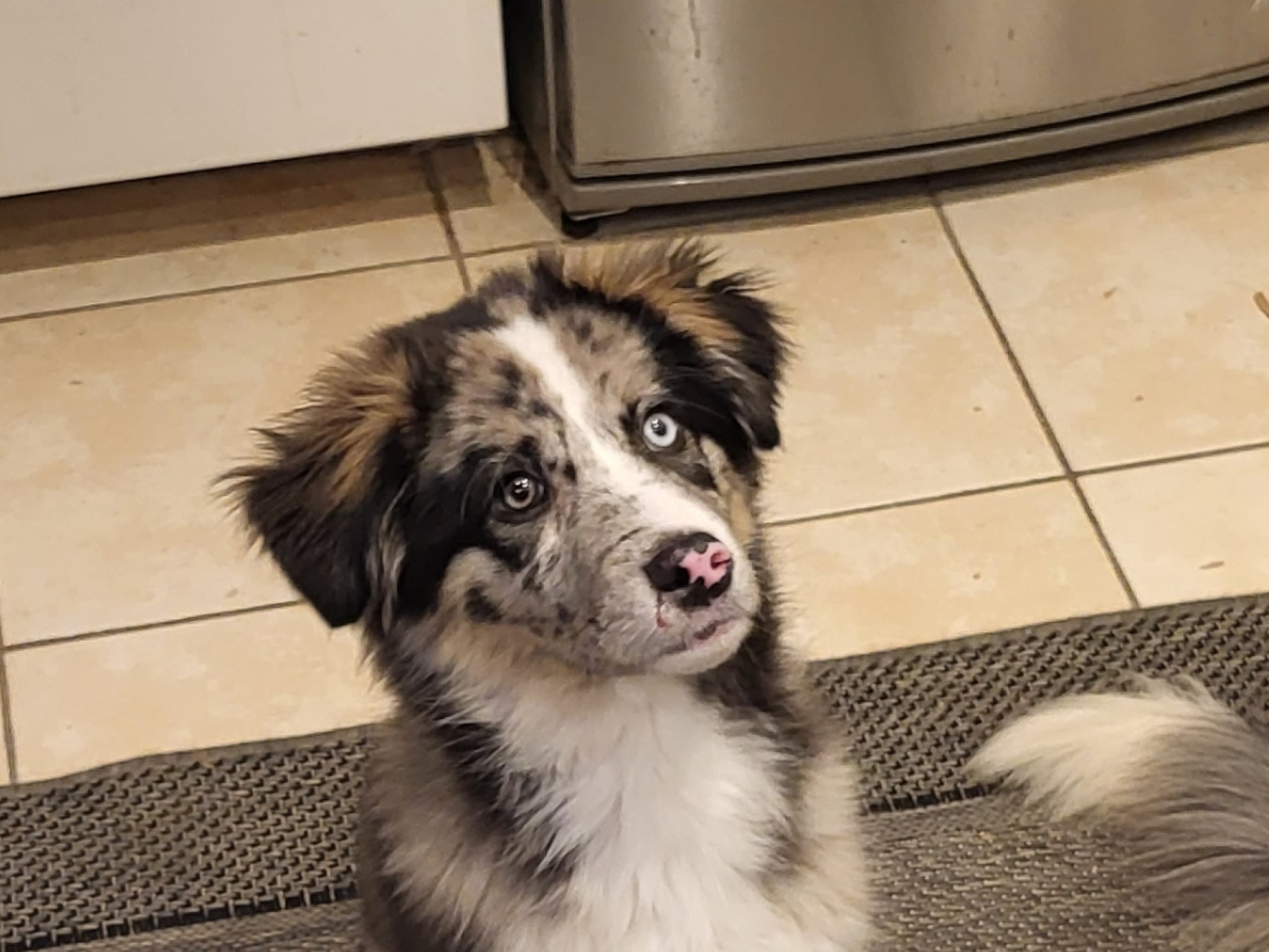 My Sweet Monster