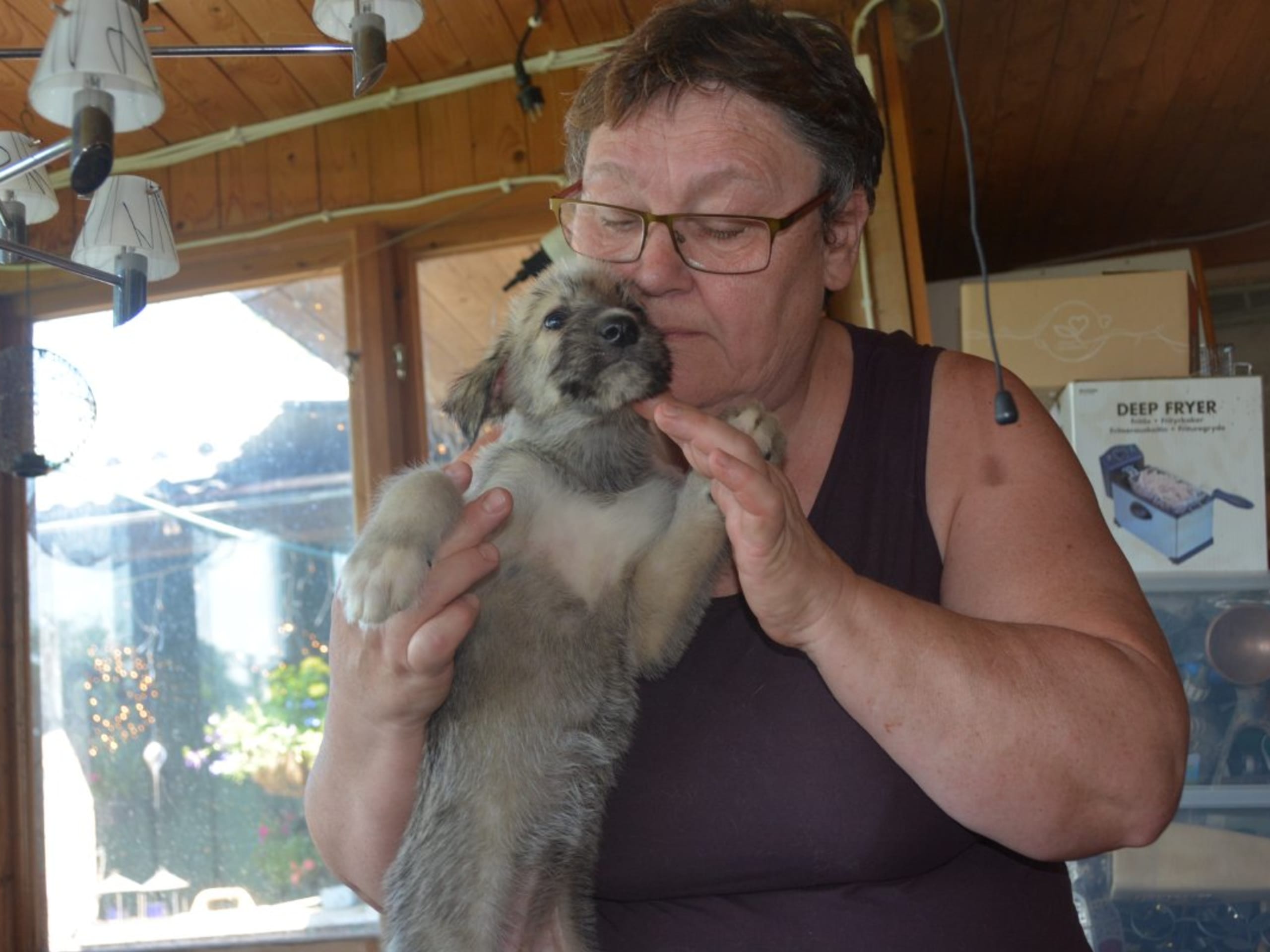 Irish Wolfhound · Stora Levene · Åkerö's