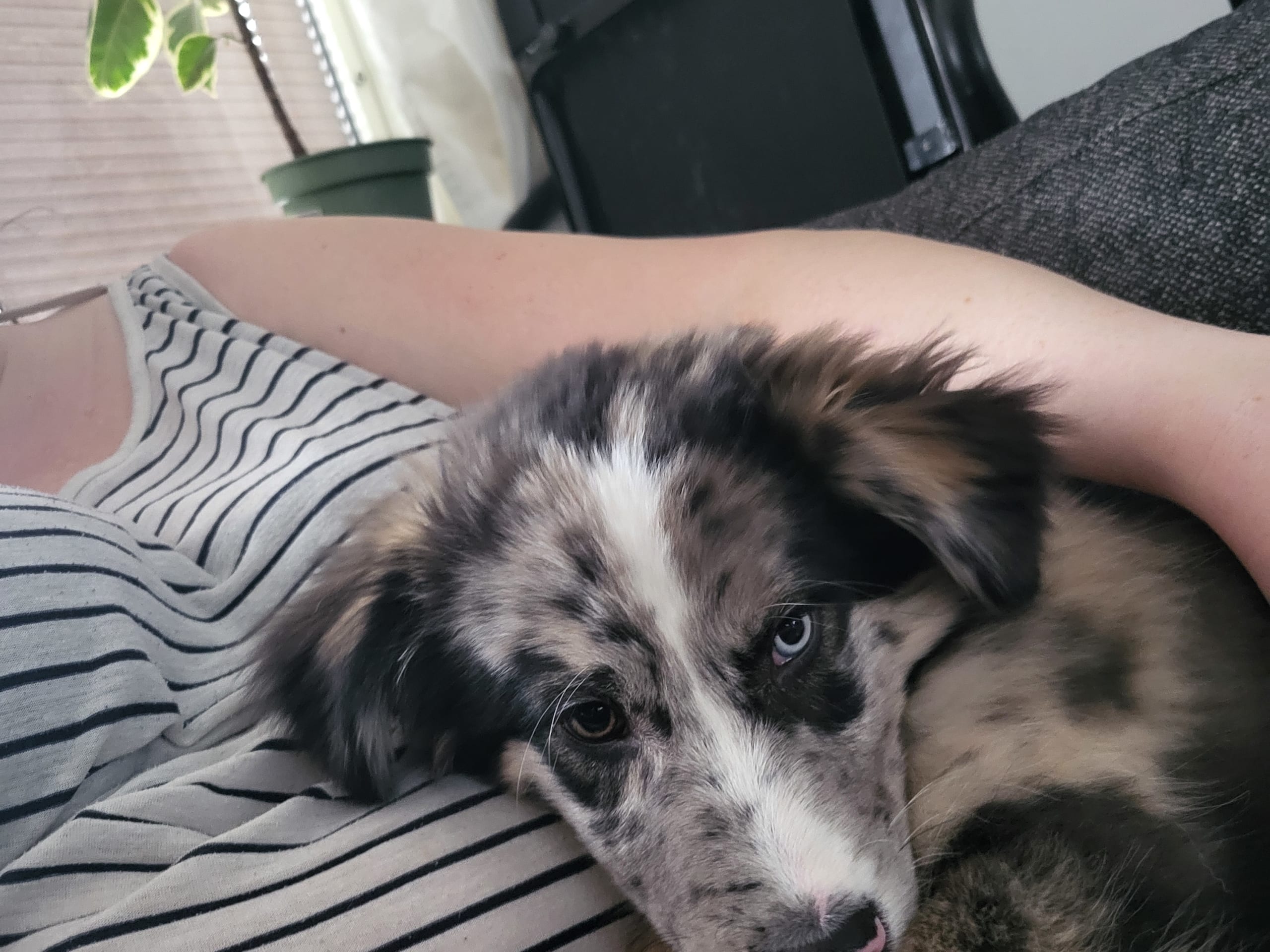 My Sweet Monster