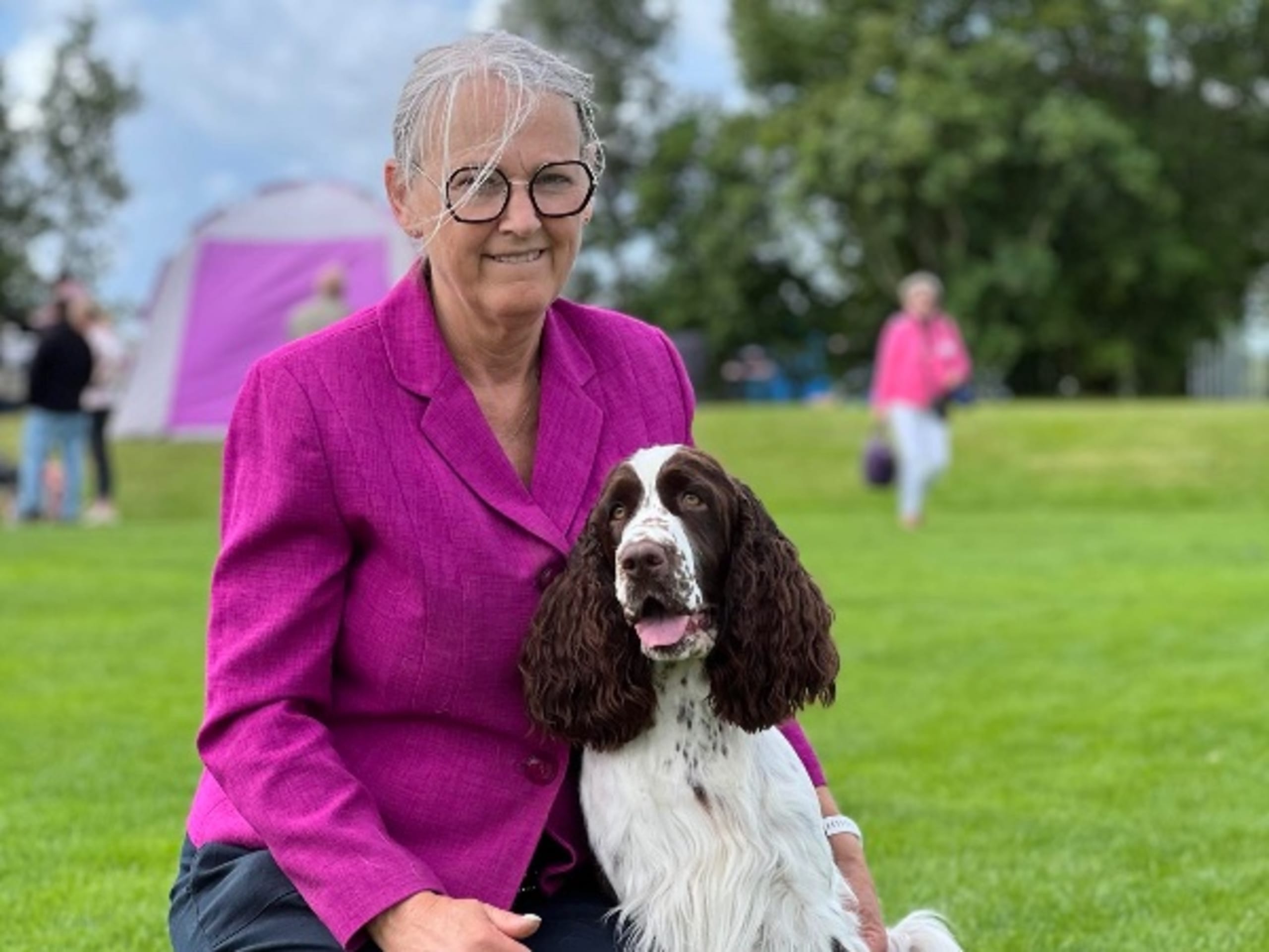 English Springer Spaniel · Älmhult · Lizziardhs