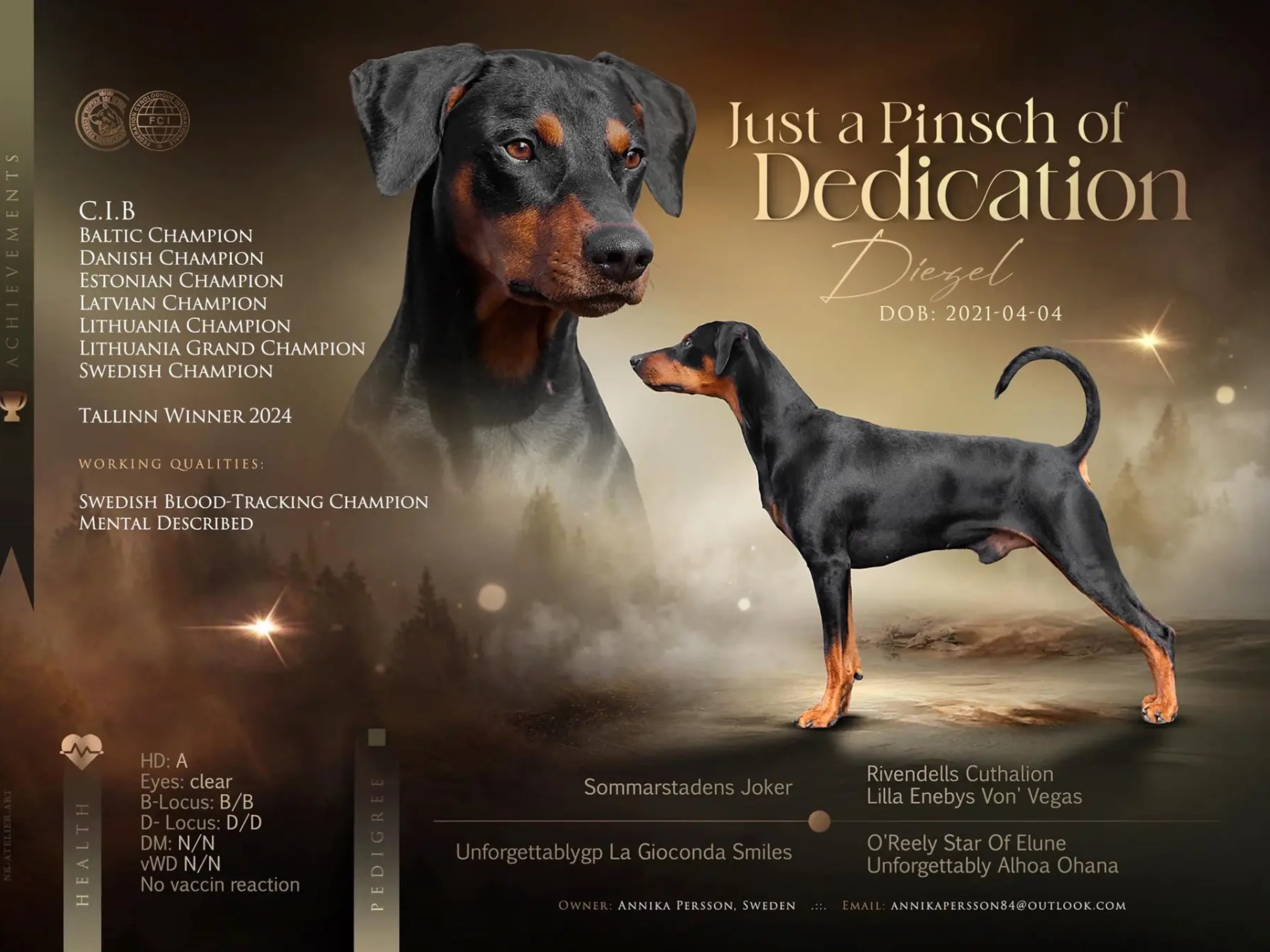 Pinscher · Steinkjer · Pelskling