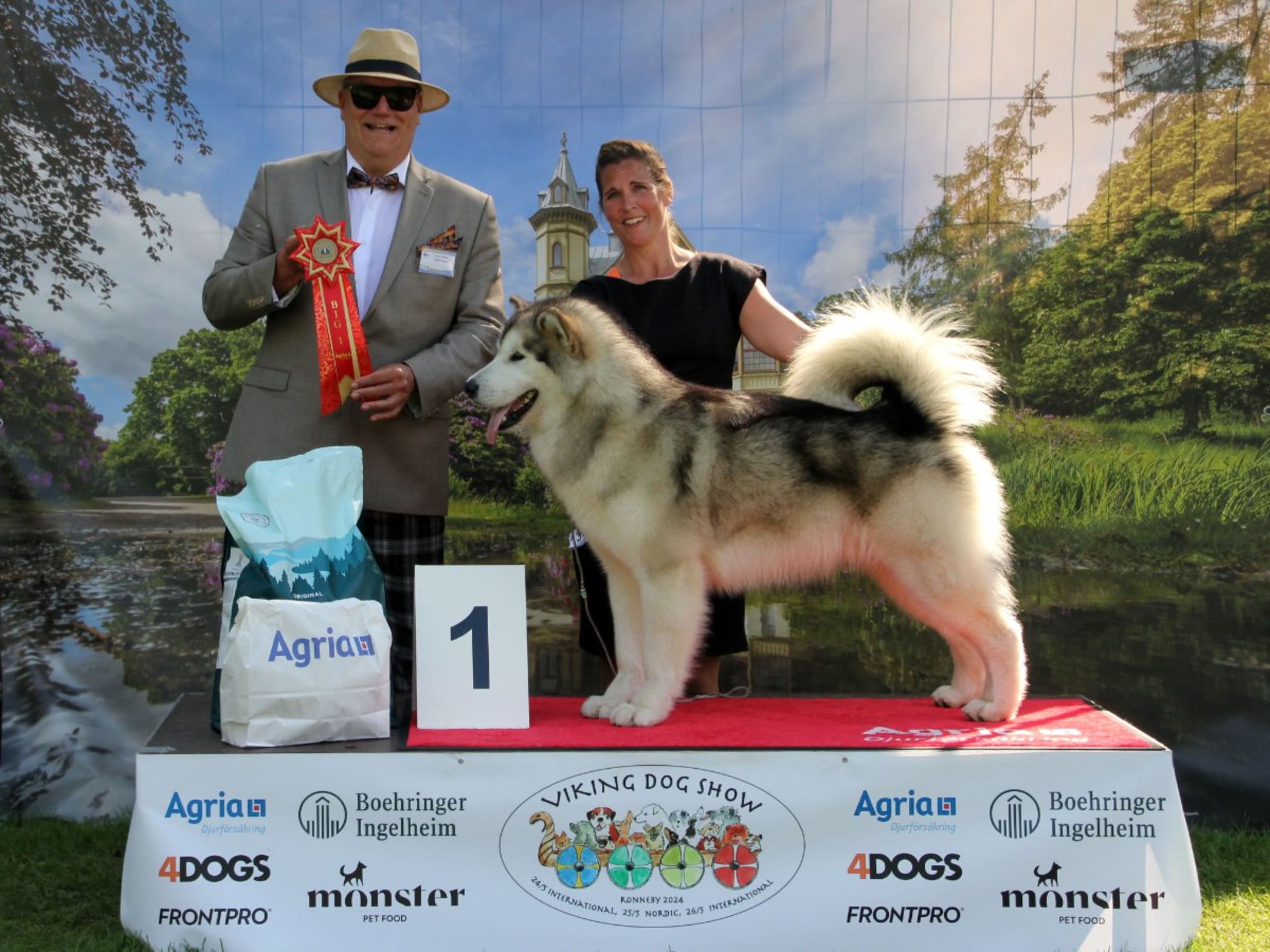 Alaskan Malamute · örkelljunga · Spotty Dot's