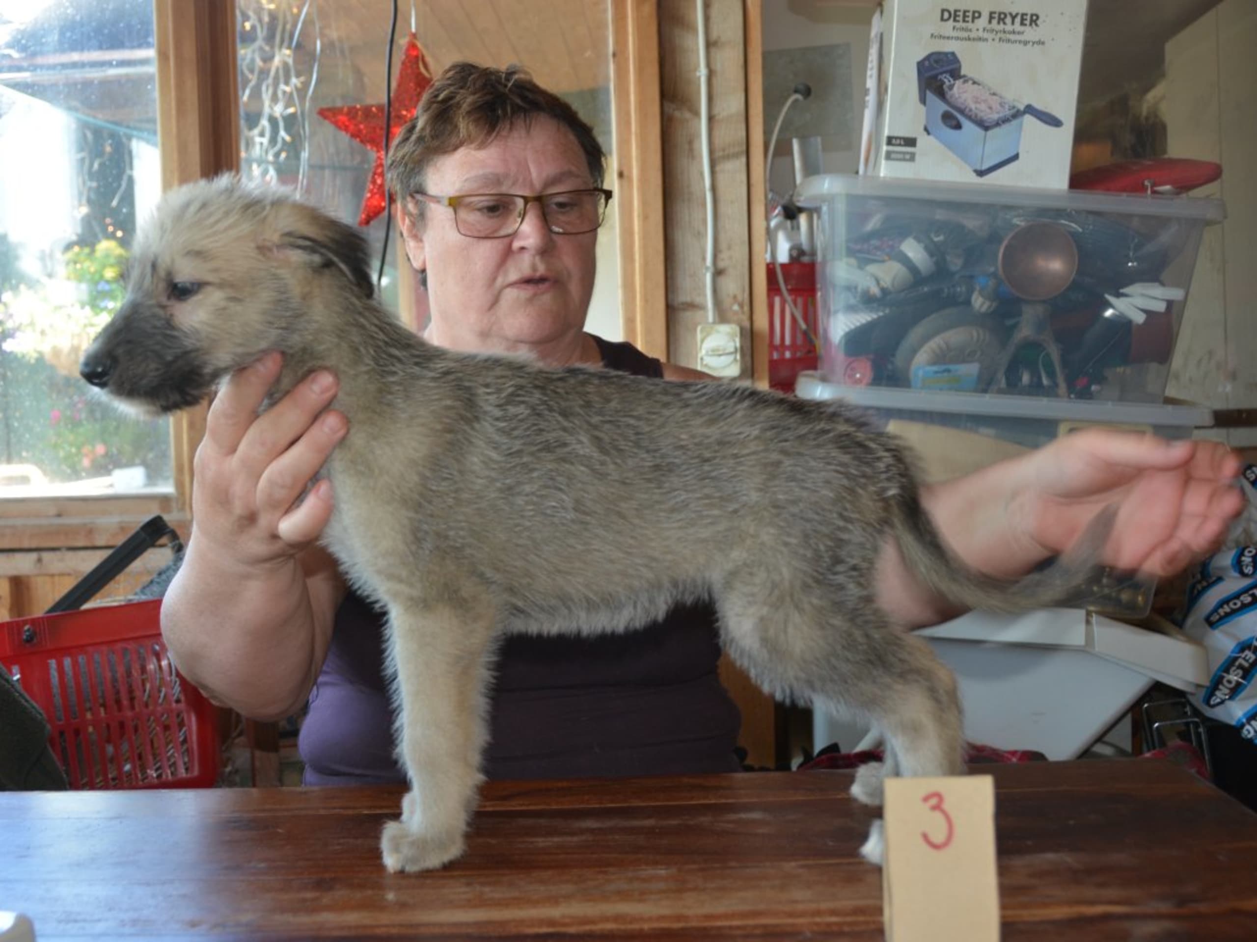 Irish Wolfhound · Stora Levene · Åkerö's