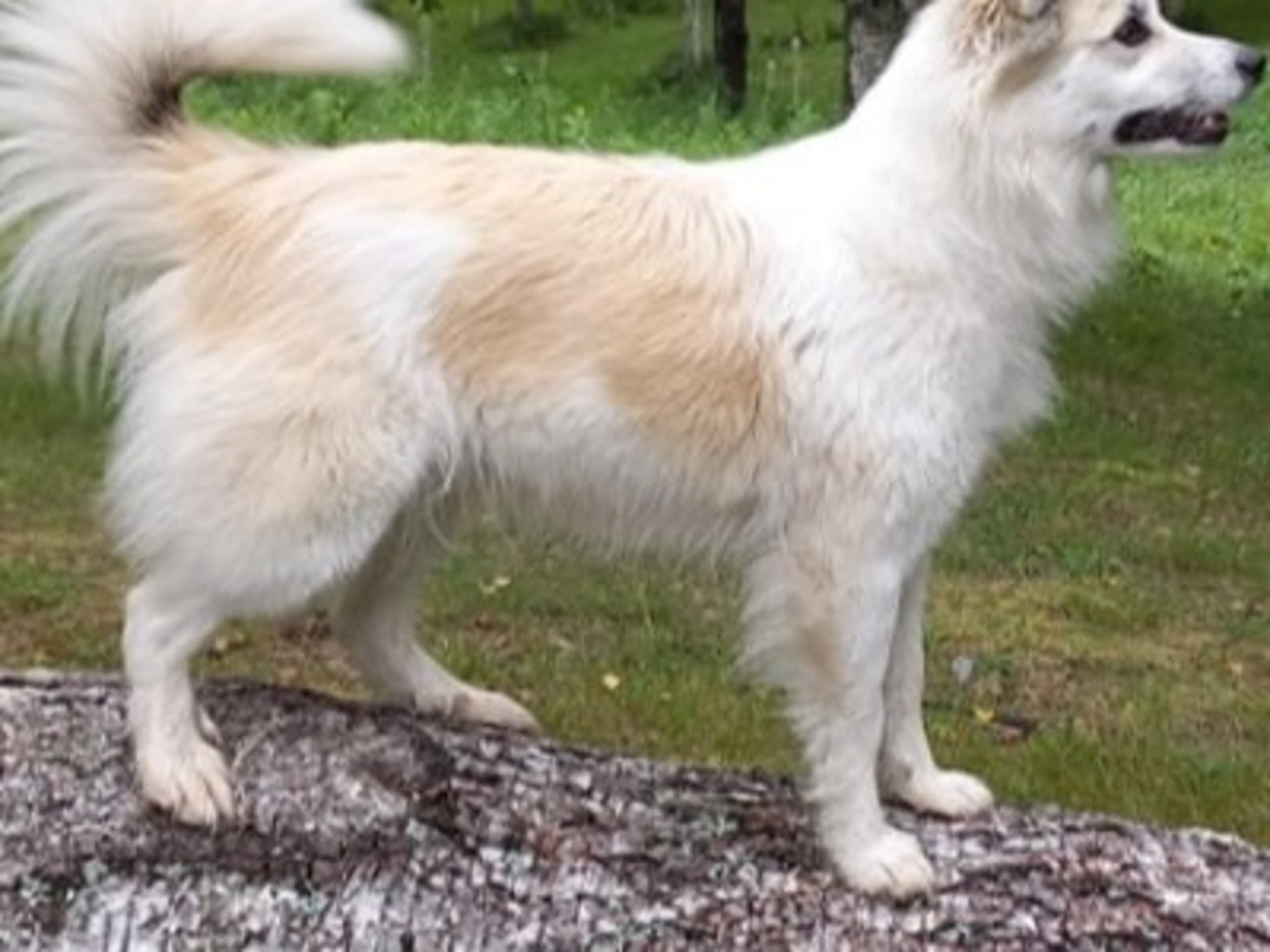 Mamma: ULVFROST UNA-EDOTTIR