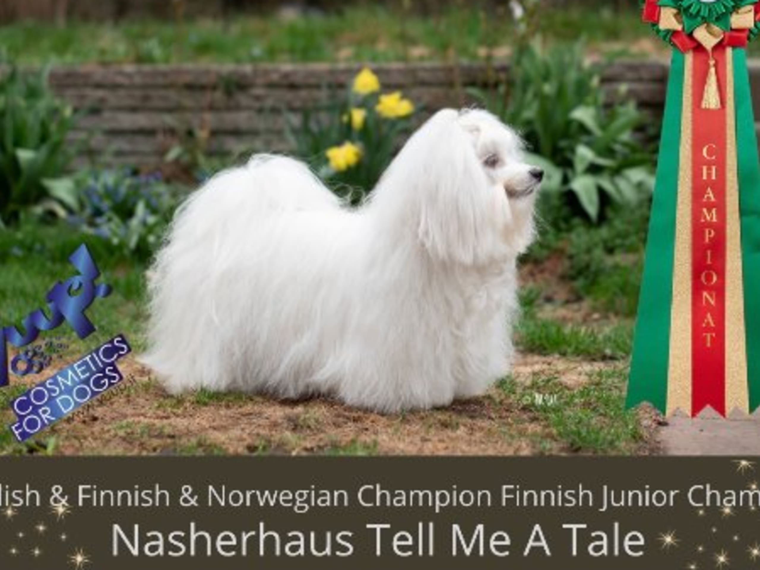 Nasherhaus