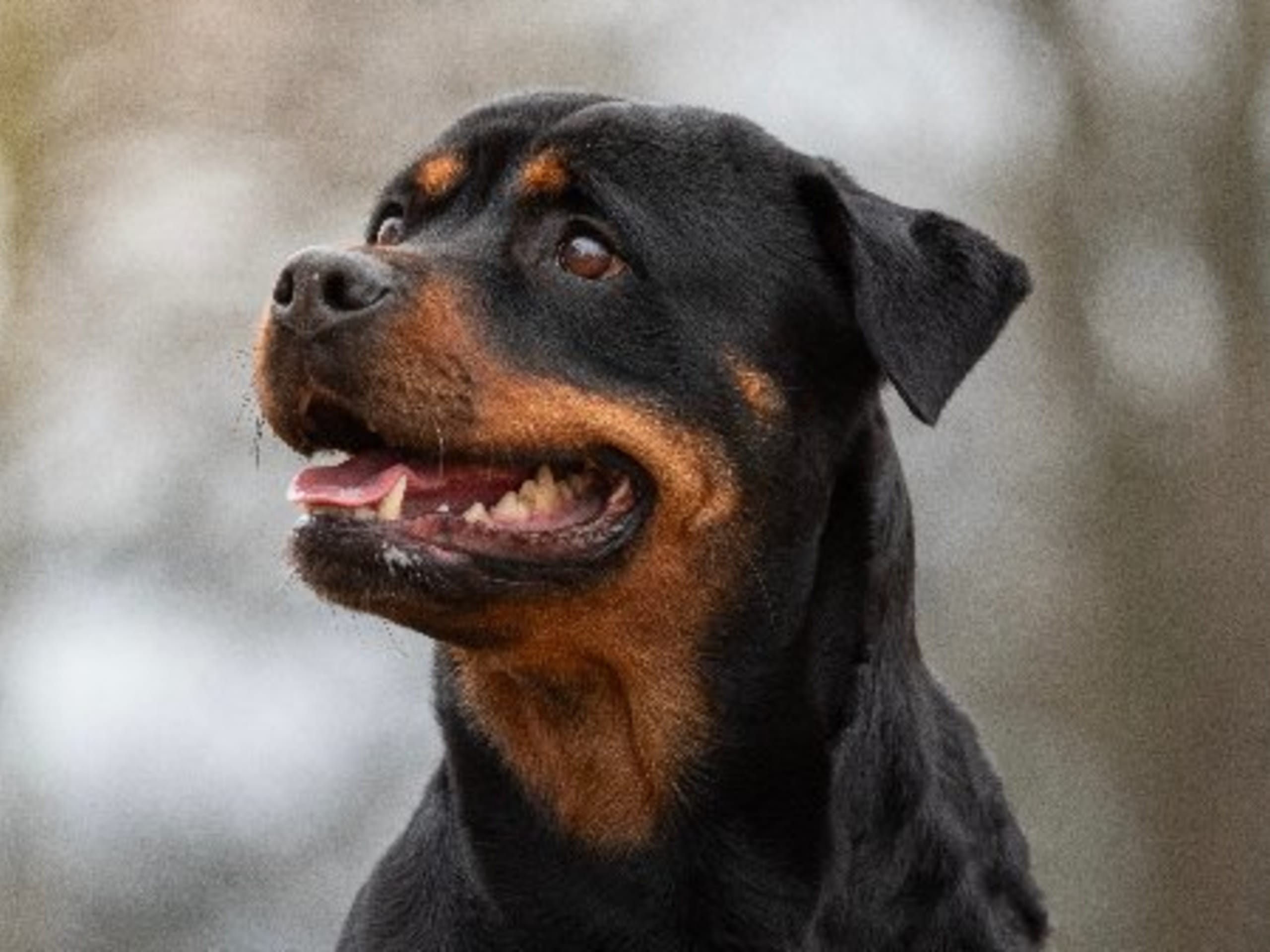 Mor: ROXHILLS BARBRO