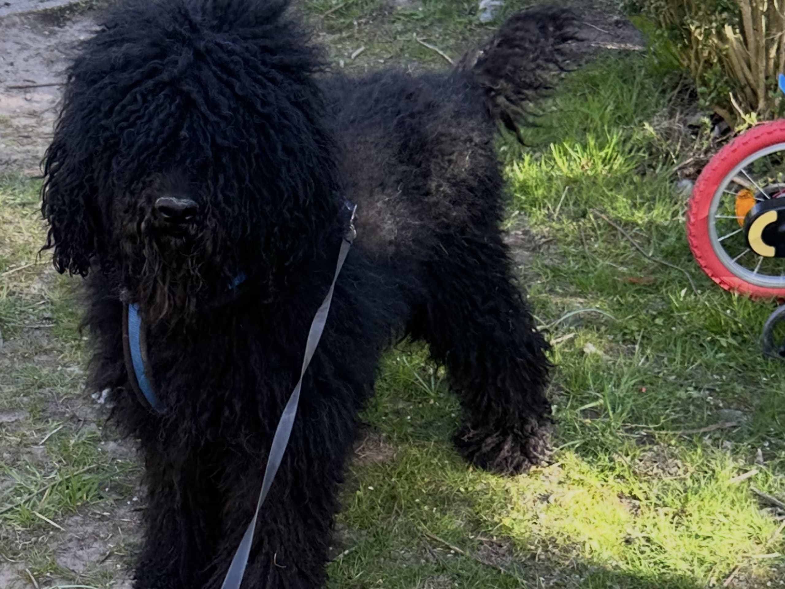 Far: Samson