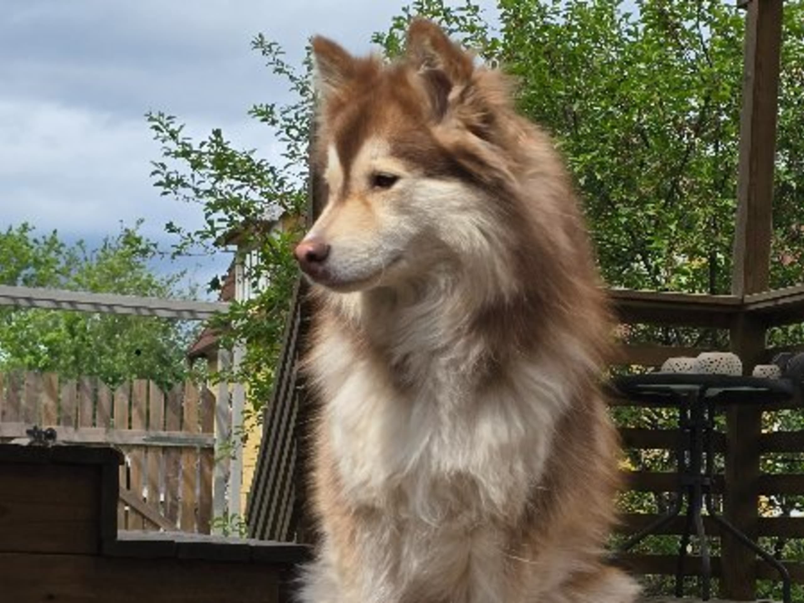 Mor: LEJONCRONA DIXIE