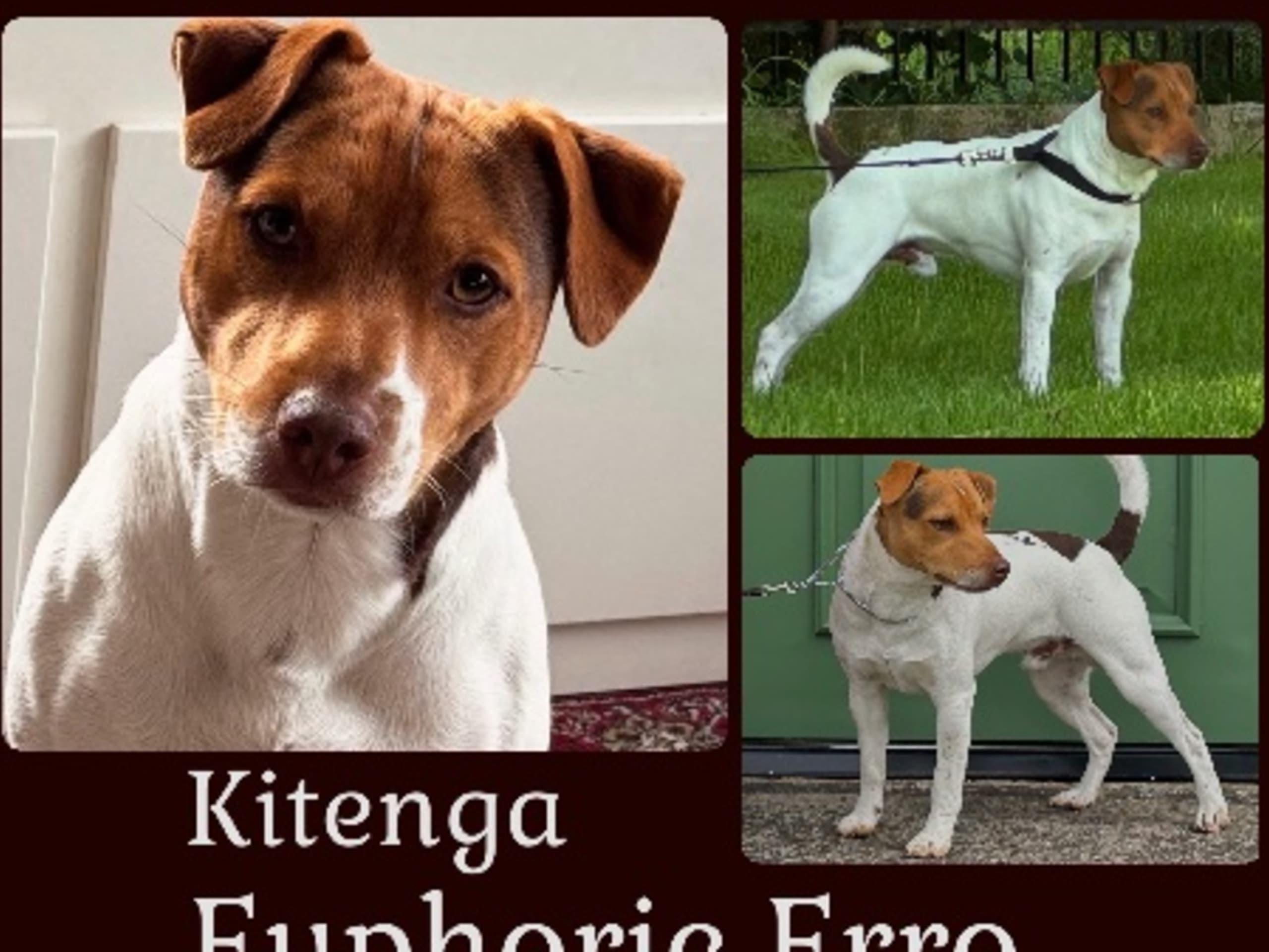 Father: KITENGA EUPHORIC ERRO
