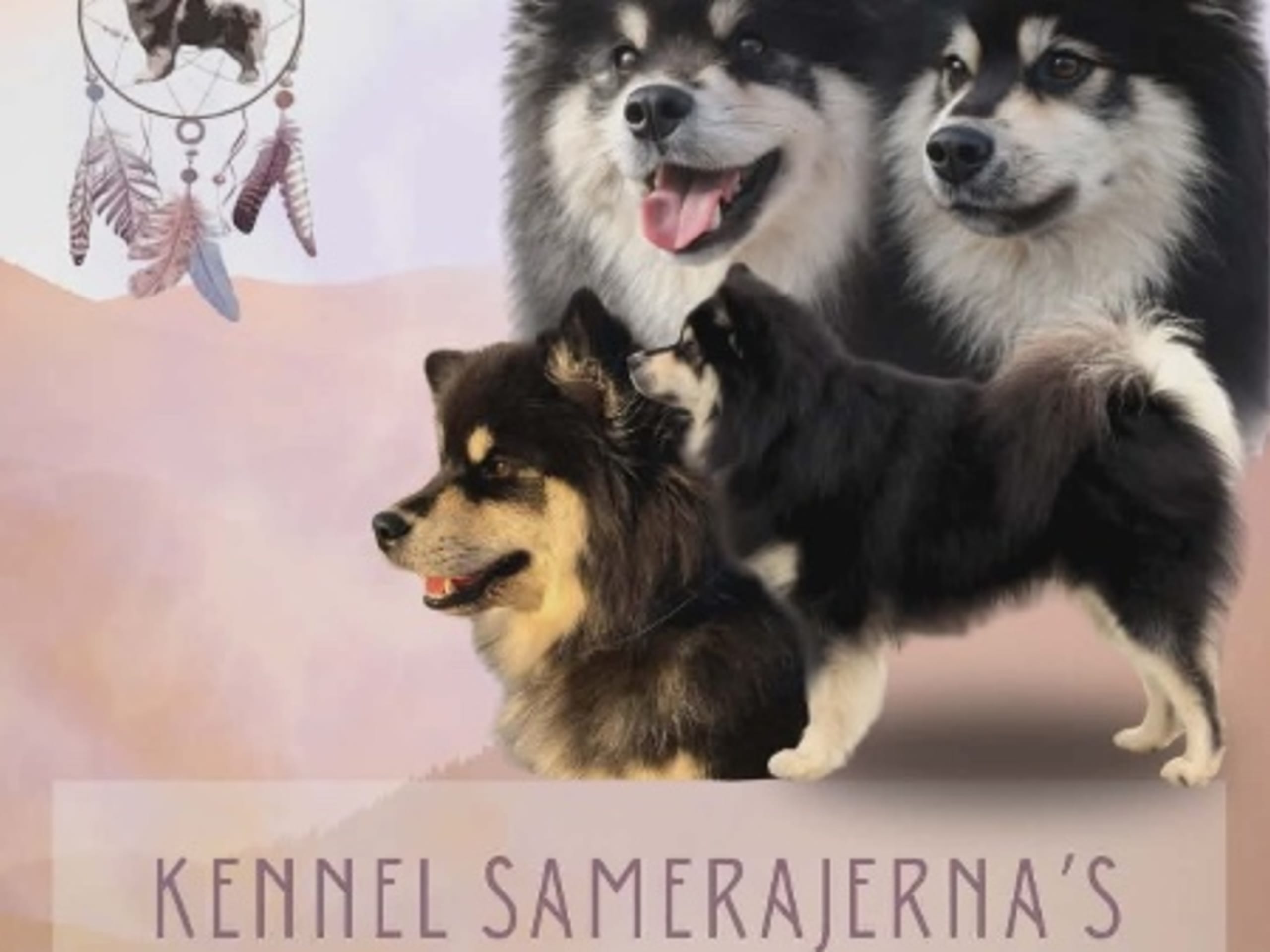 Mother: SAMERAJERNA'S WEA