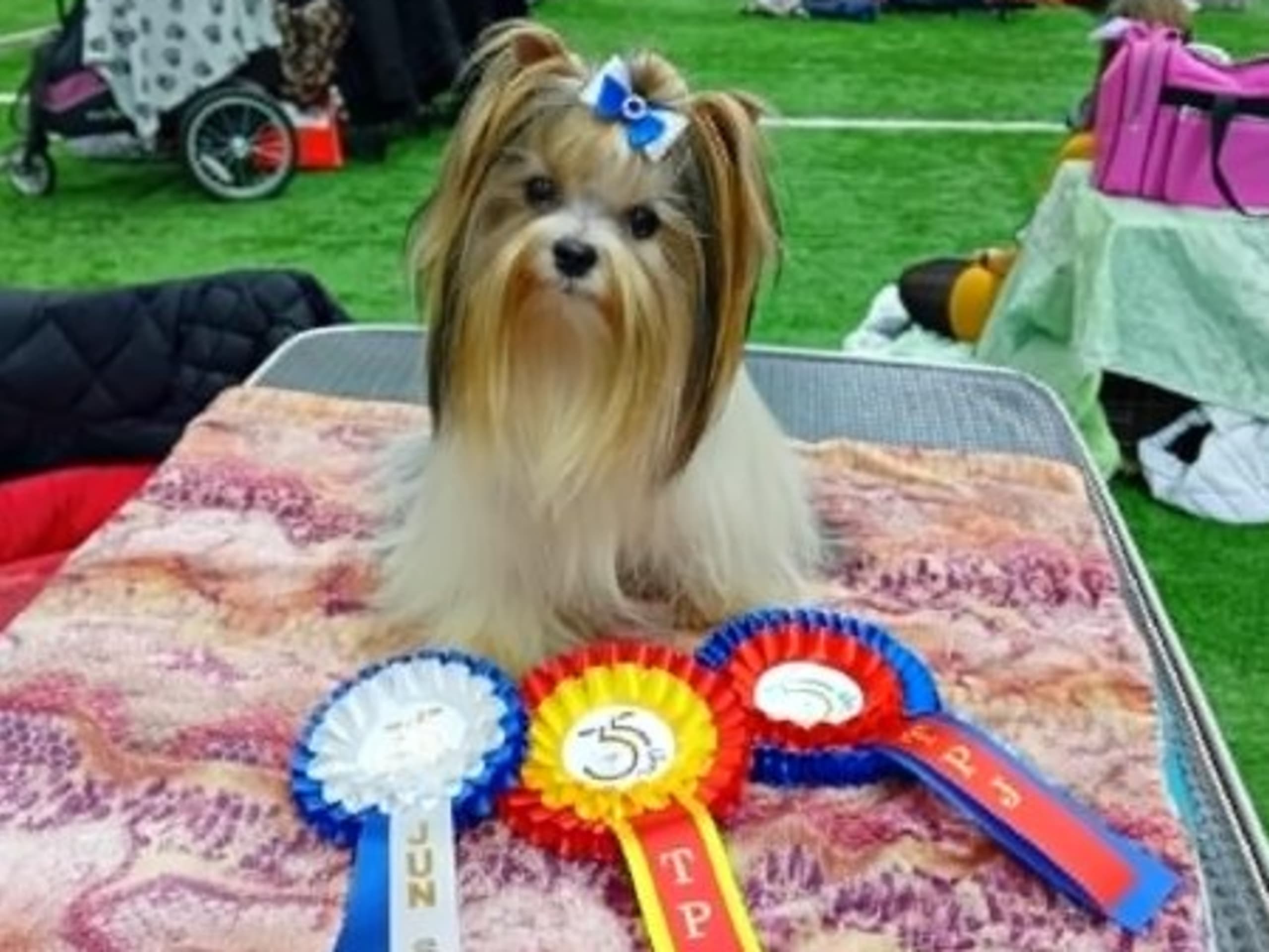 Far: STAN THE CONQUEROR OF HEARTS
