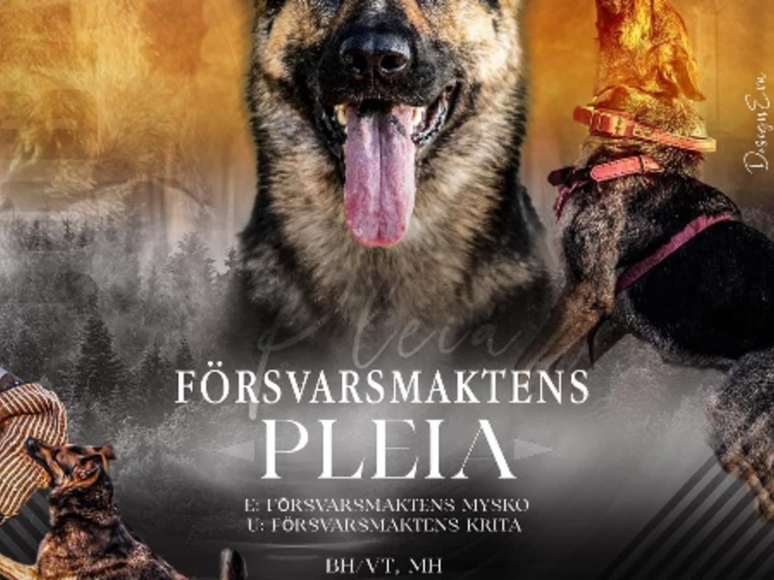 Mamma: FÖRSVARSMAKTENS PLEIA
