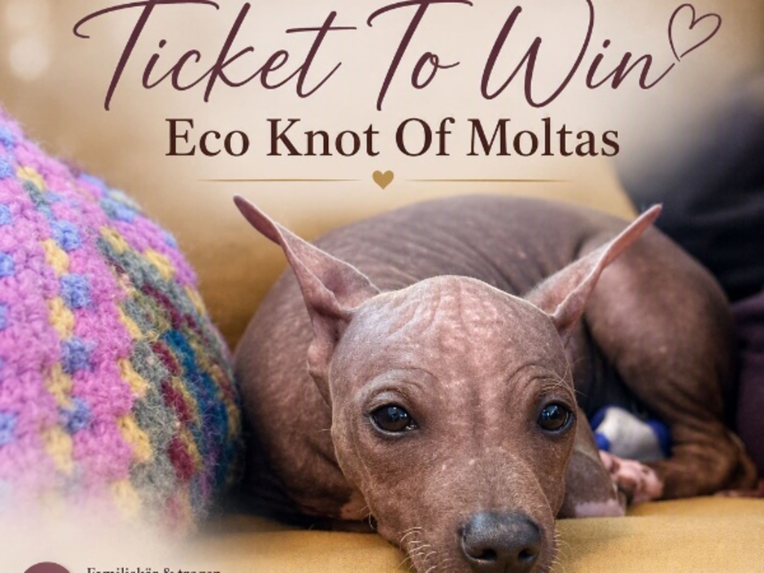 Ticket To Win