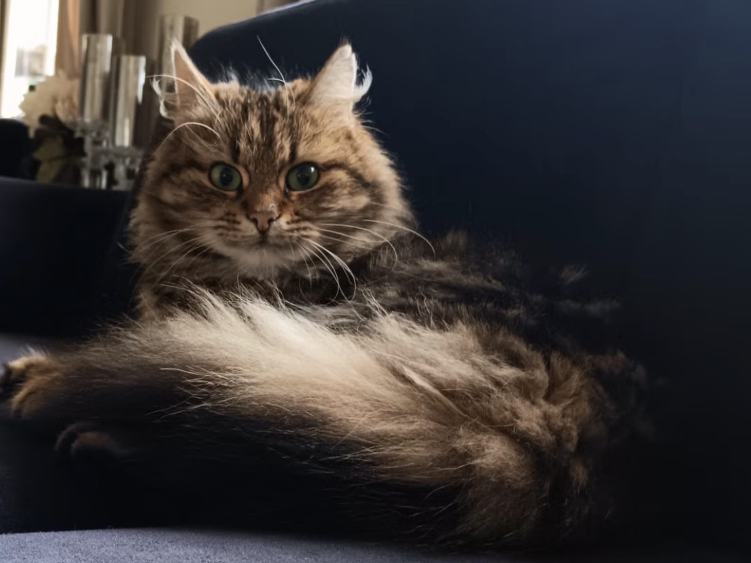 Mother: Luna