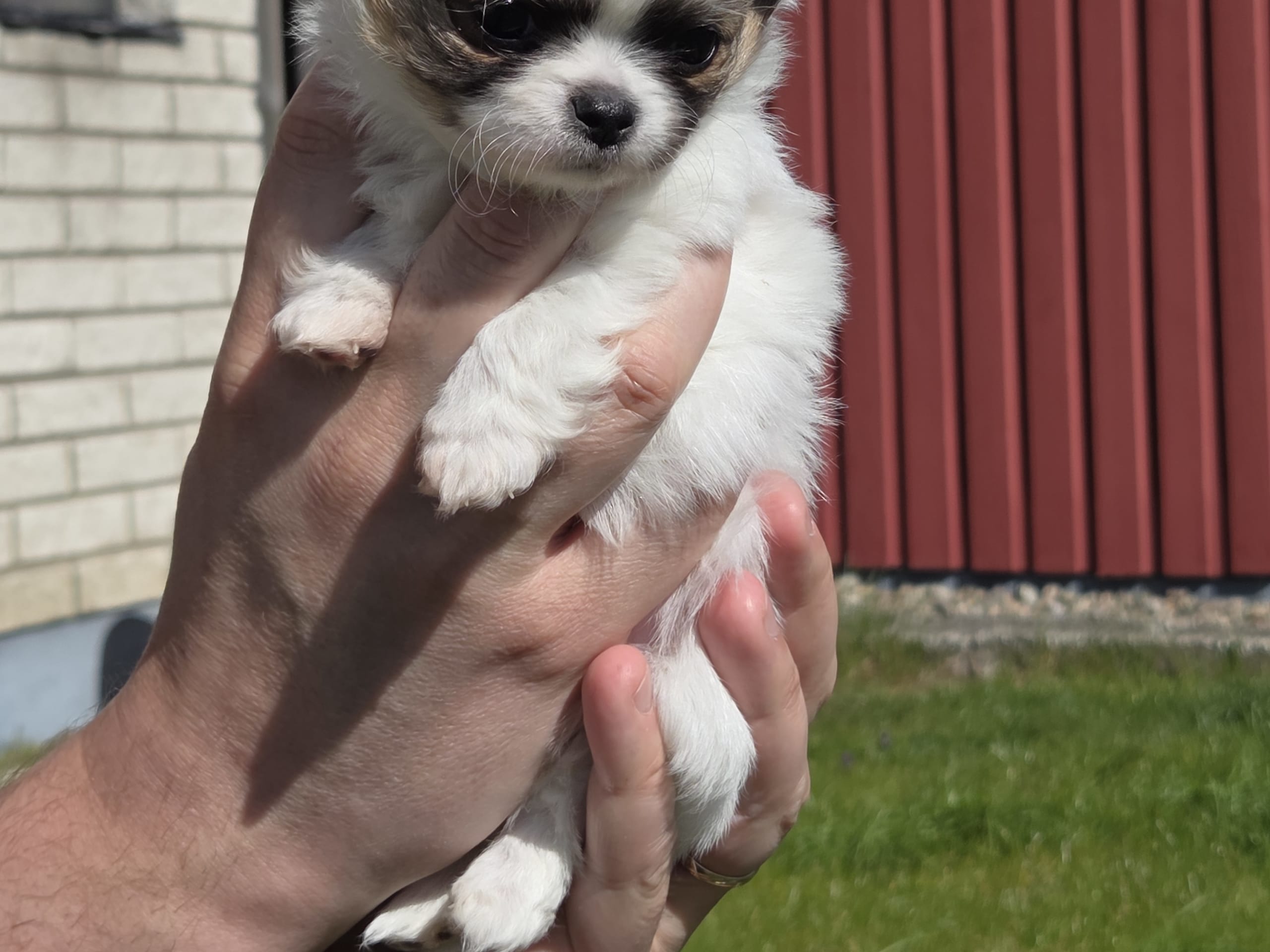 Zeus