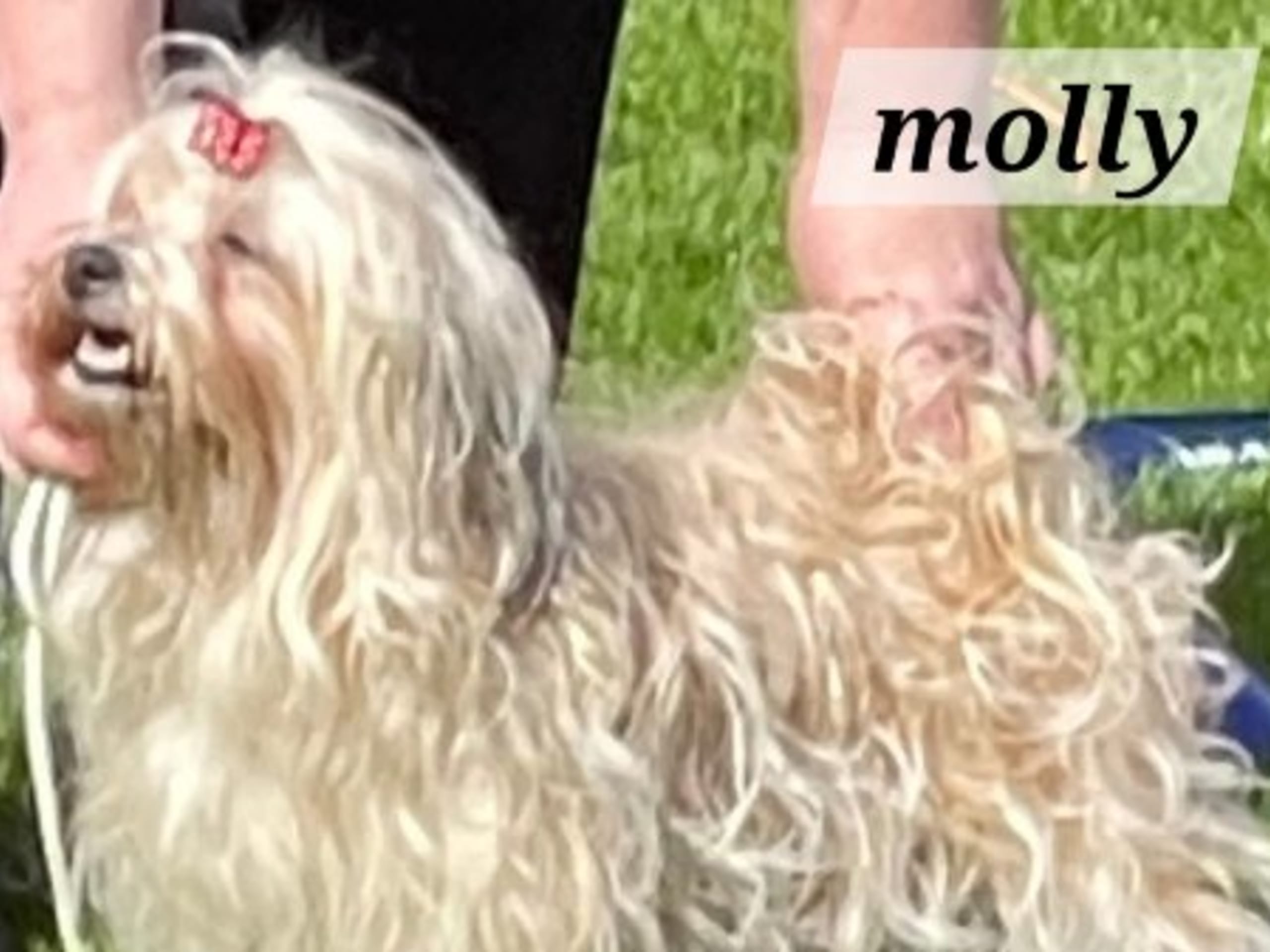 Mother: URTEHAGENS CARPE DIEM MOLLY
