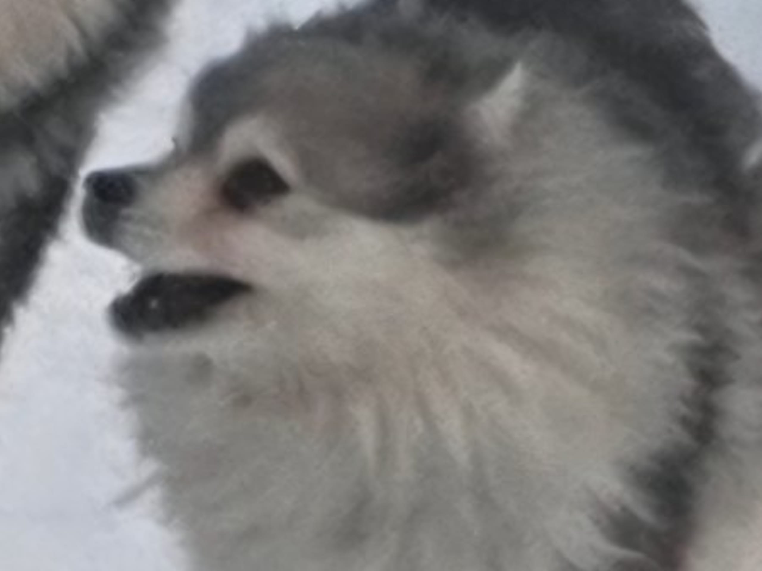 Mother: BRICKEBOS ALL I NEED IS LOVE
