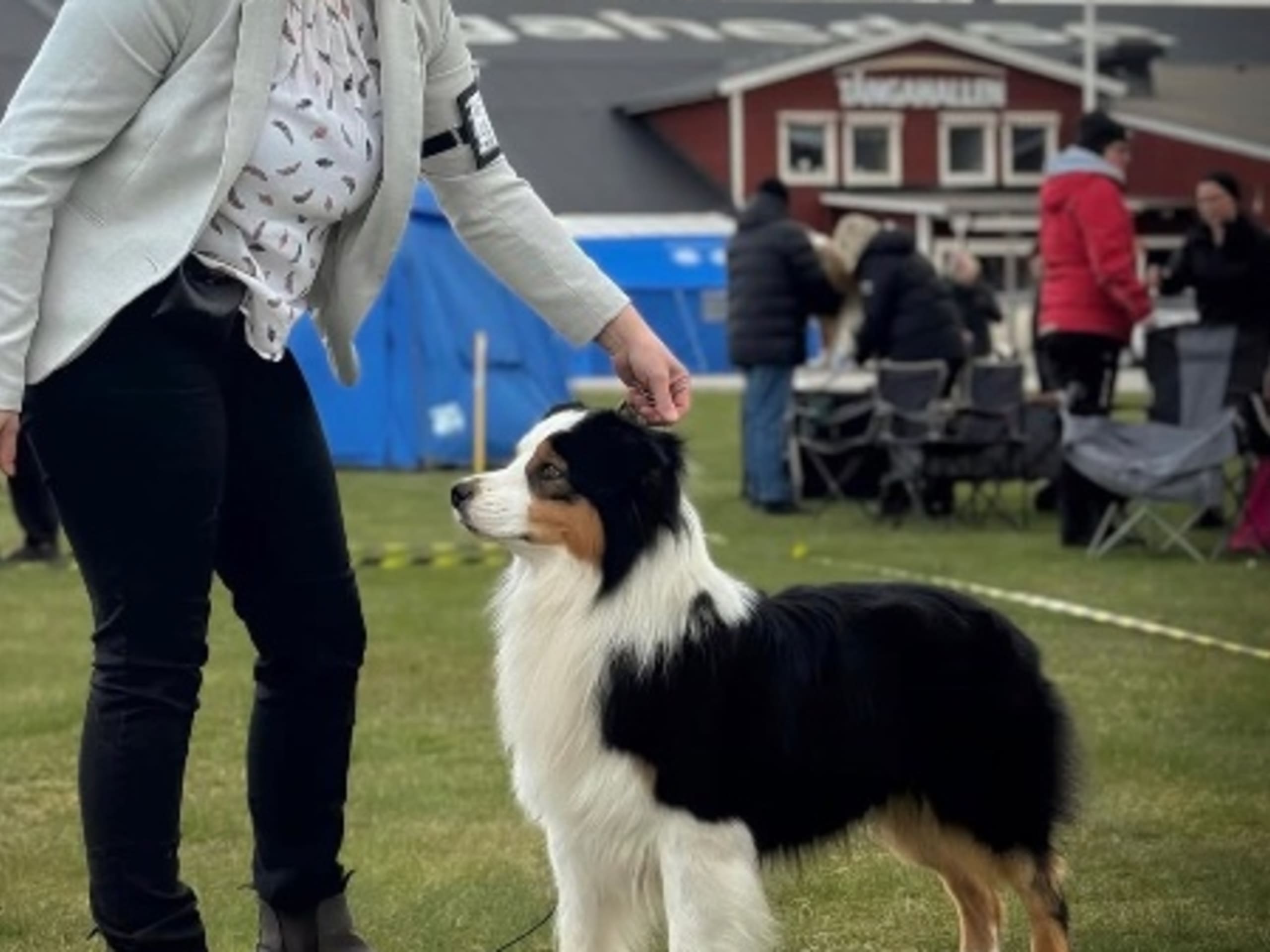 Pappa: SKYRON STILL WINNING