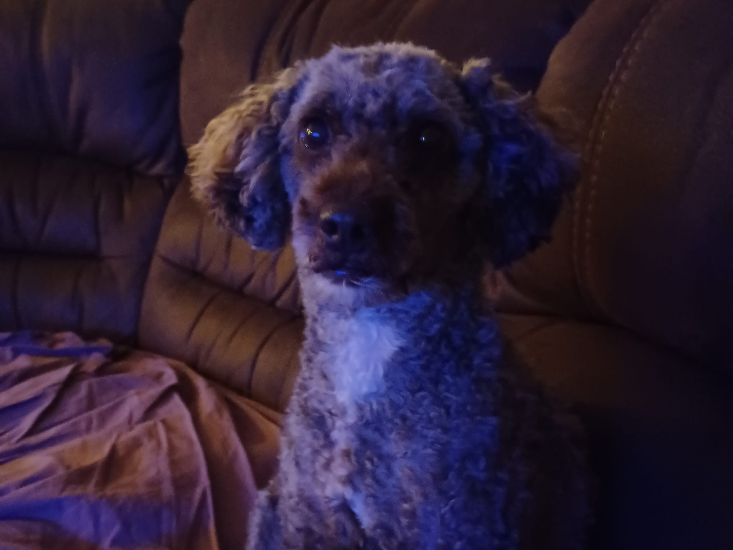 Mamma: Sally