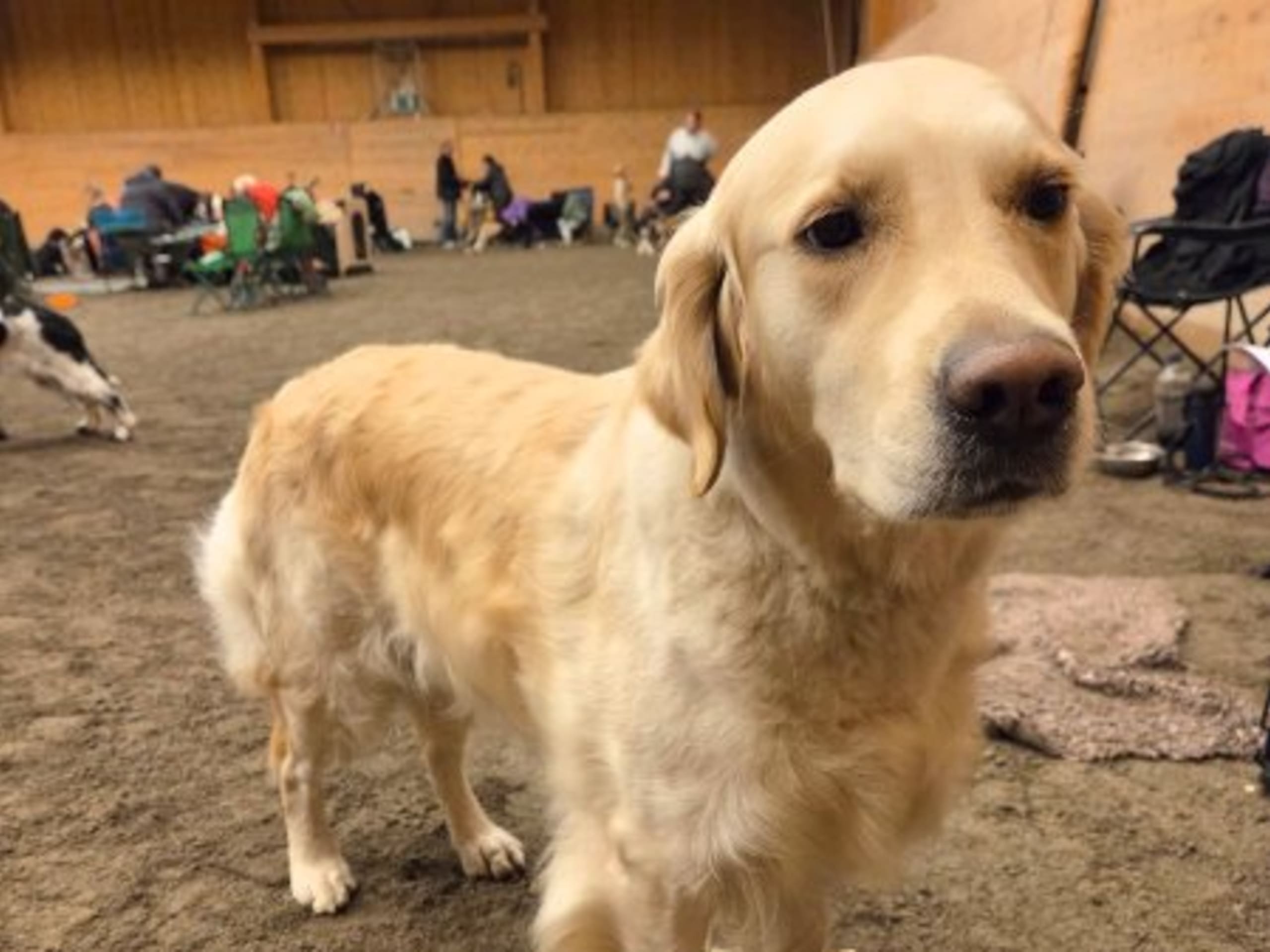 Mor: ROSA TORPETS SIGNE